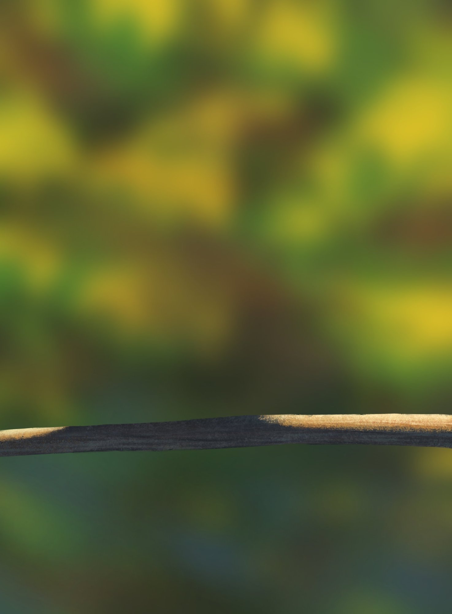 Oisillons branche chap1.jpg