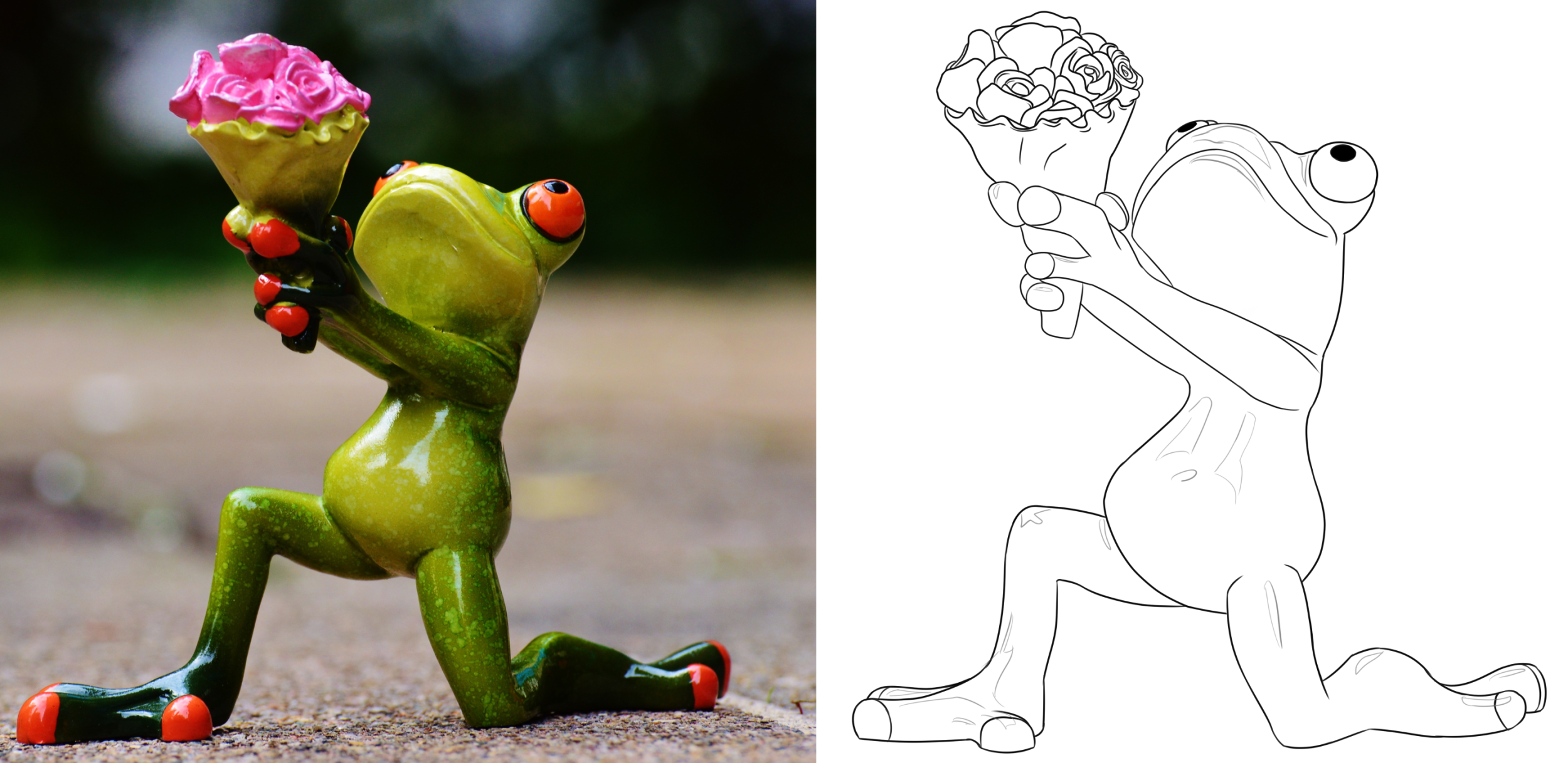 croquis grenouille.png