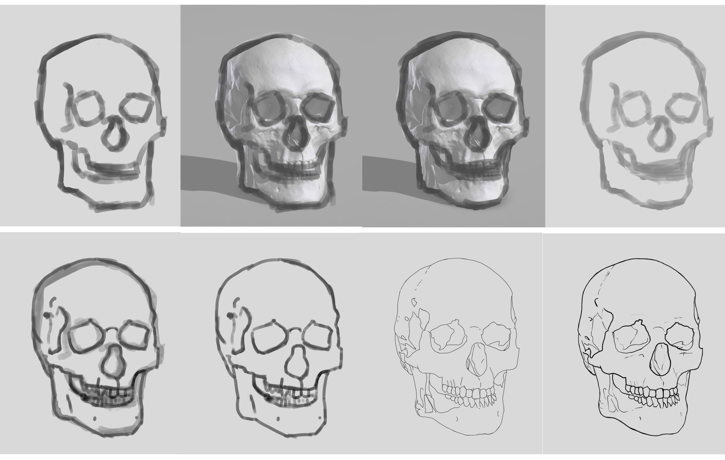 etapes croquis crane.jpg