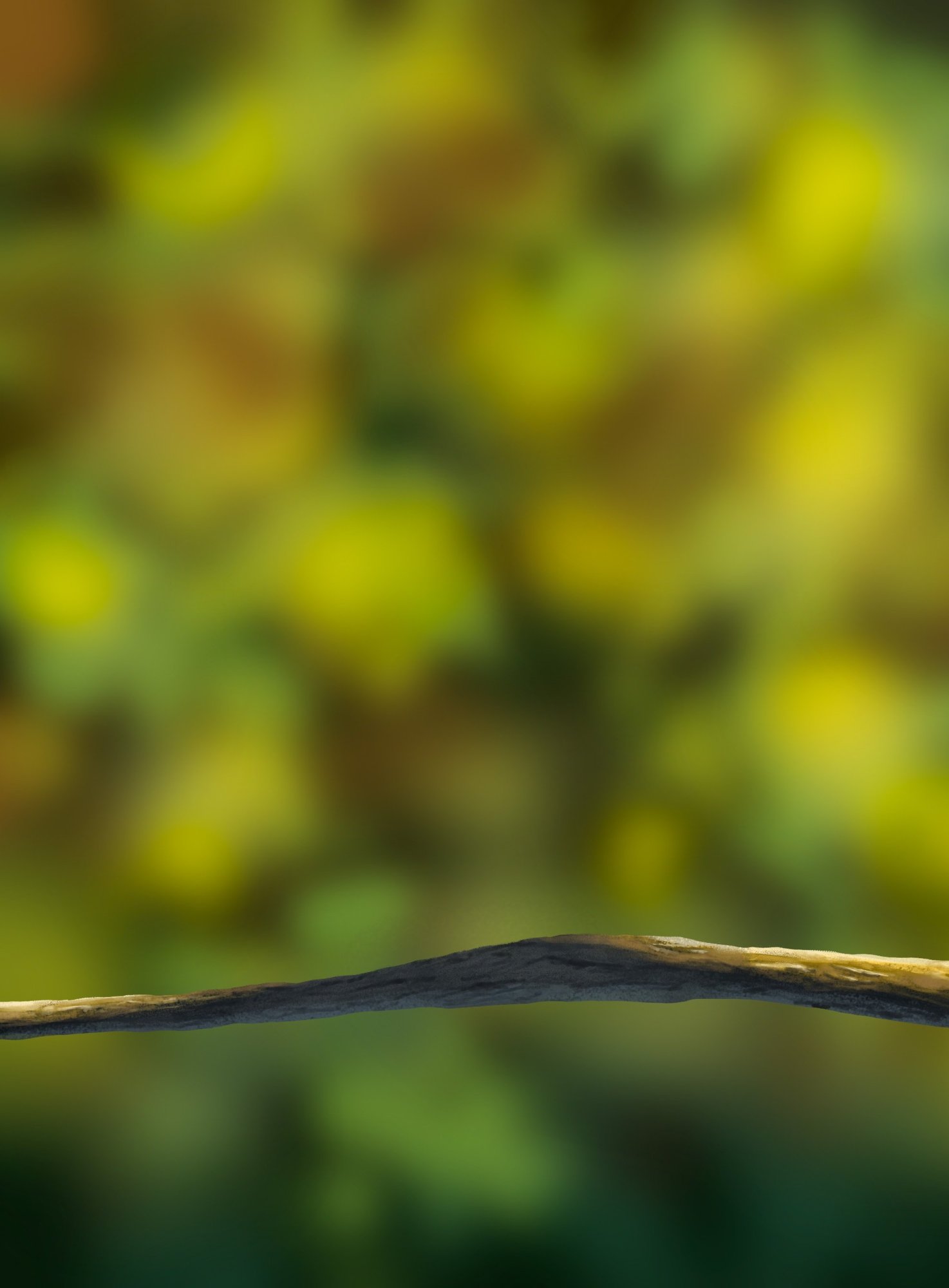 oisillon branche.jpg