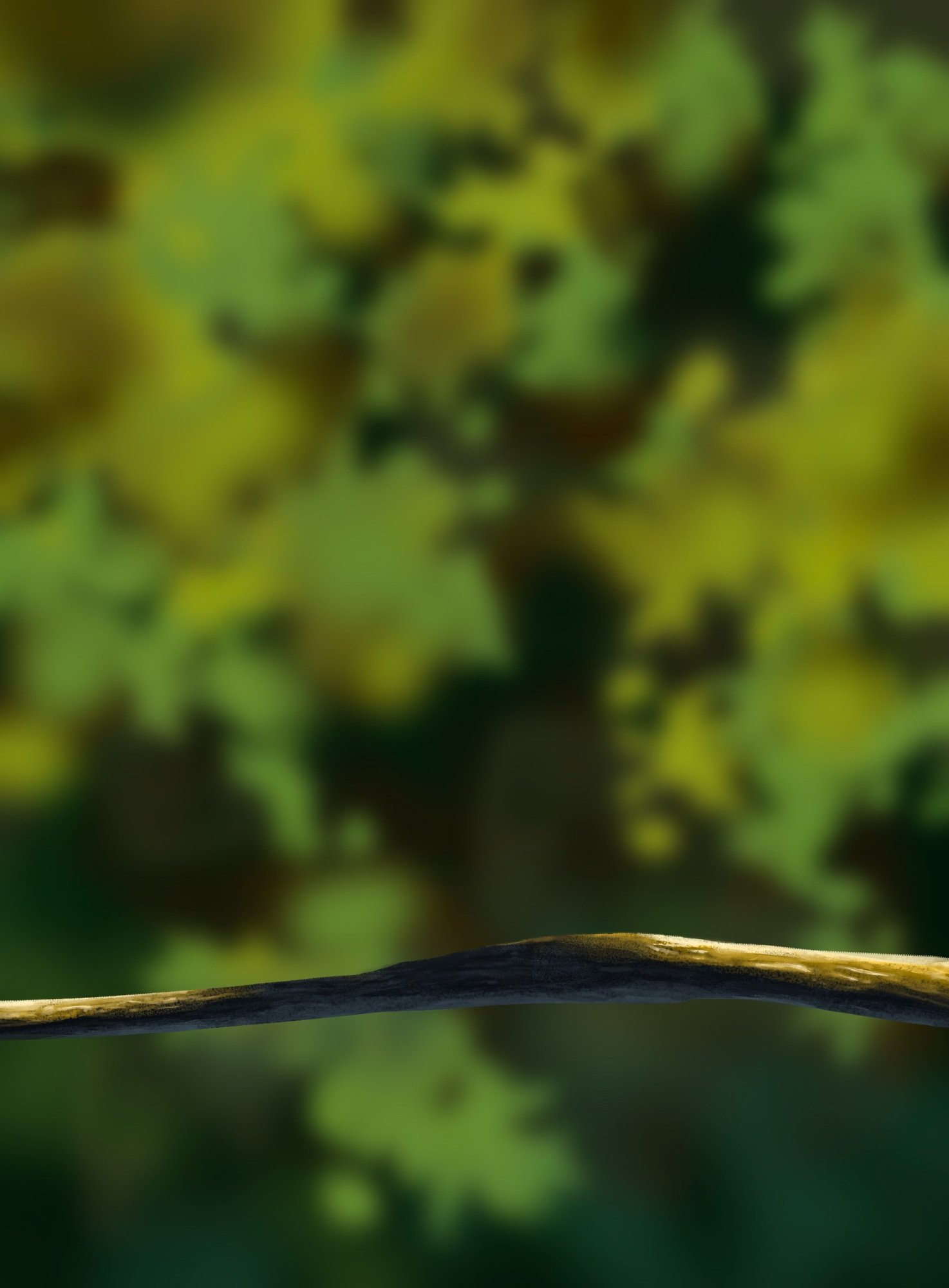 oisillon branche.jpg