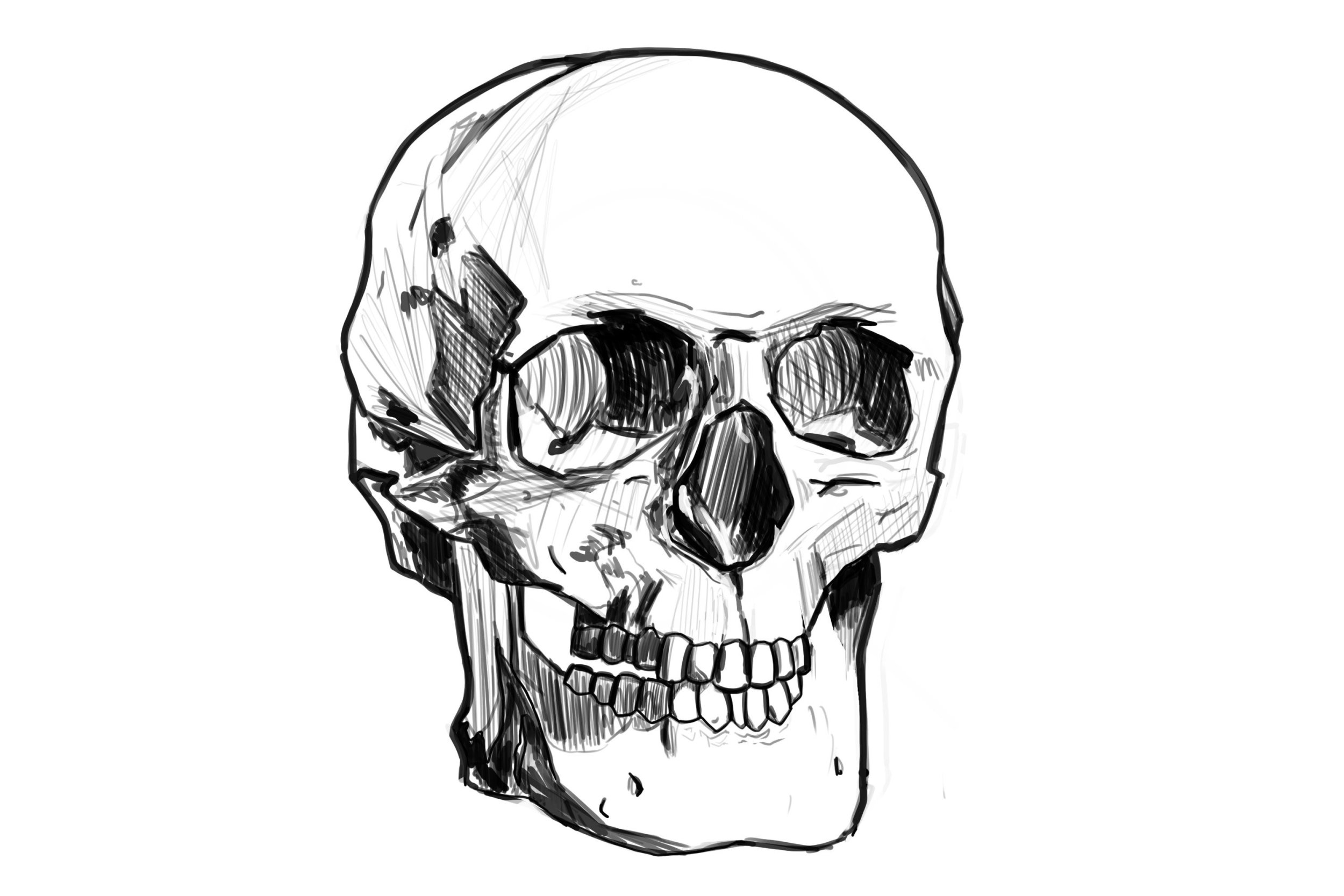 rendu crane peiko.jpg