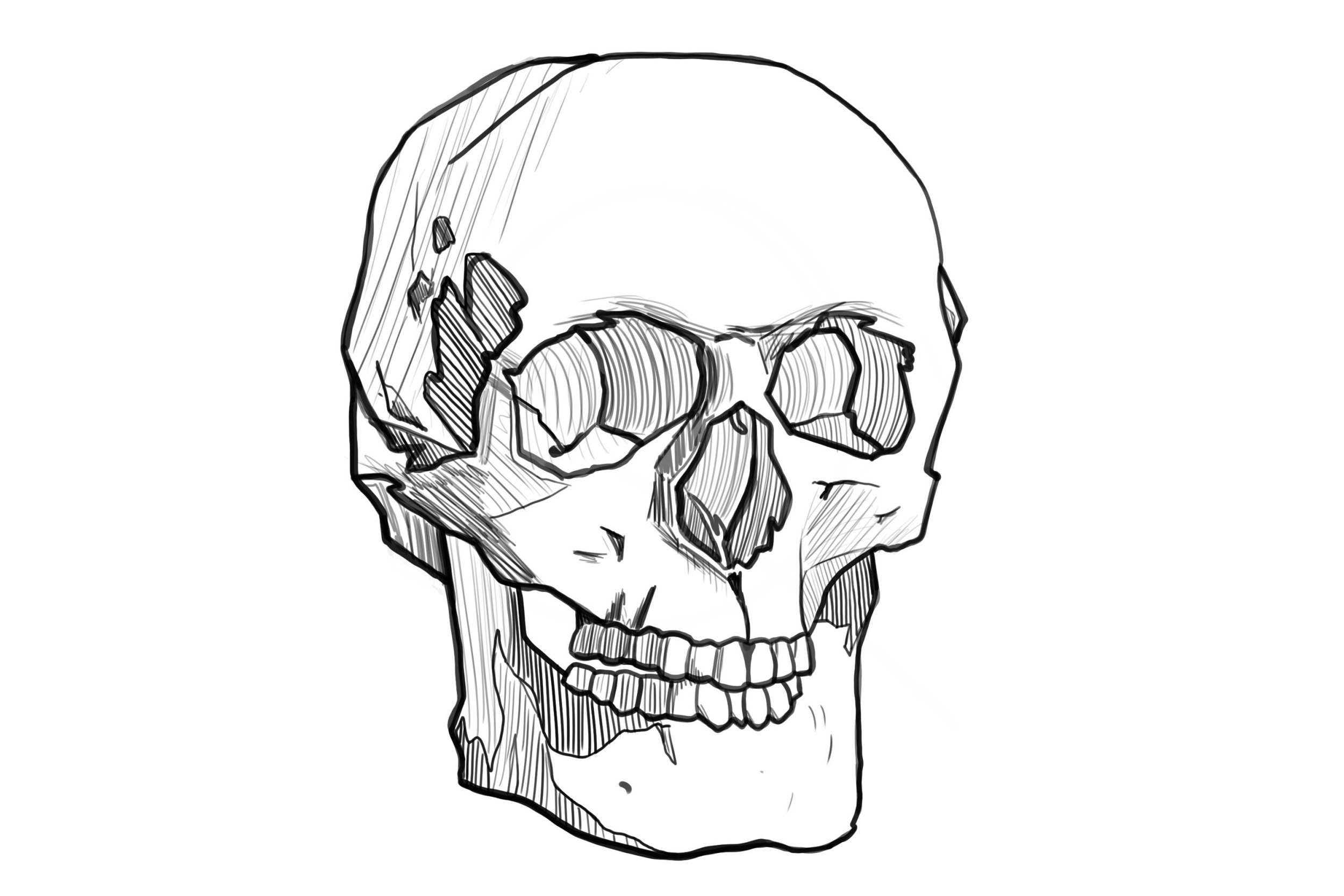 rendu crane peiko2.jpg