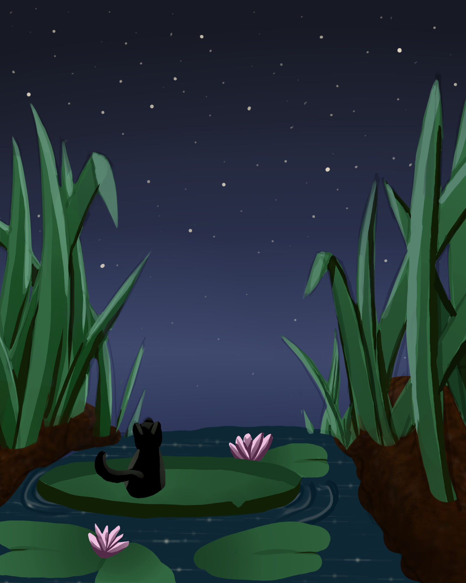 20230922_chat nénuphar.png