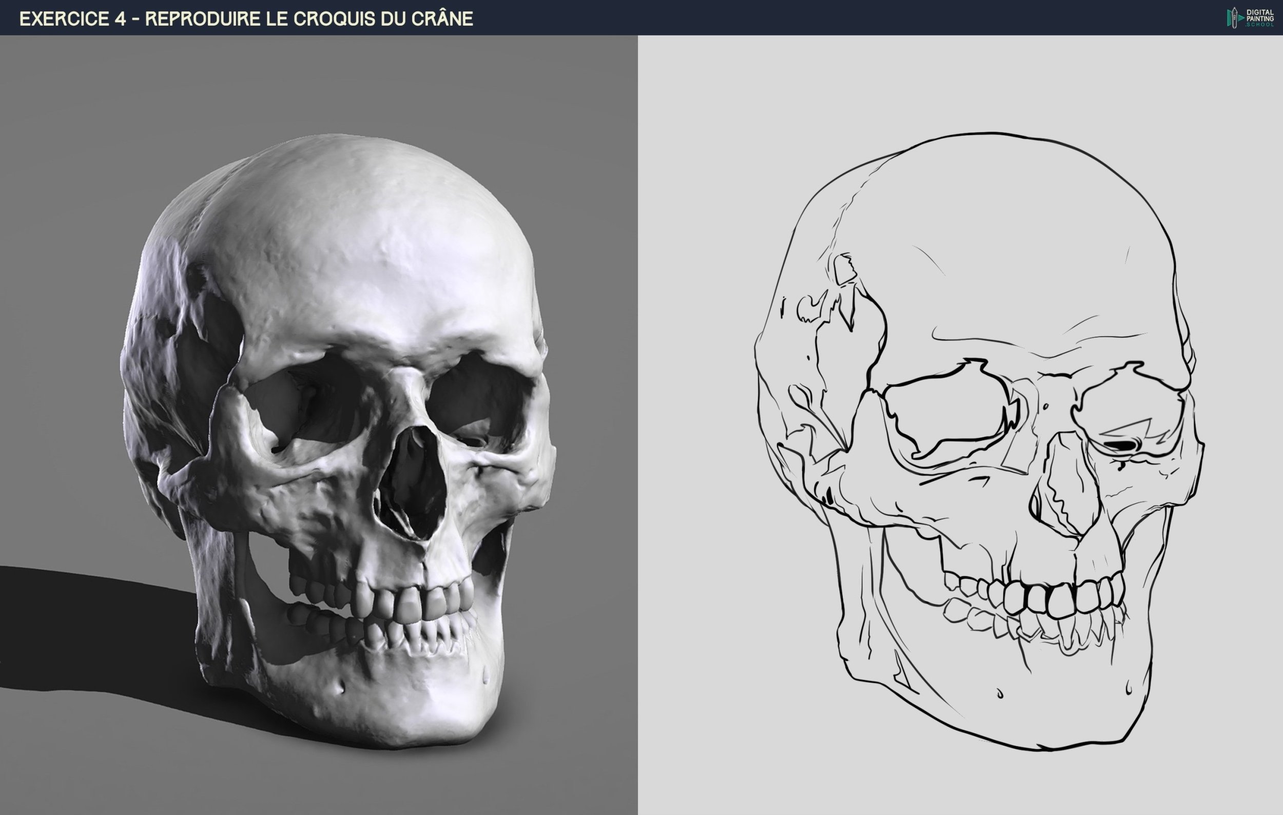 DPS-Prog-1-2-2-démo-crane-croquis 2.jpg