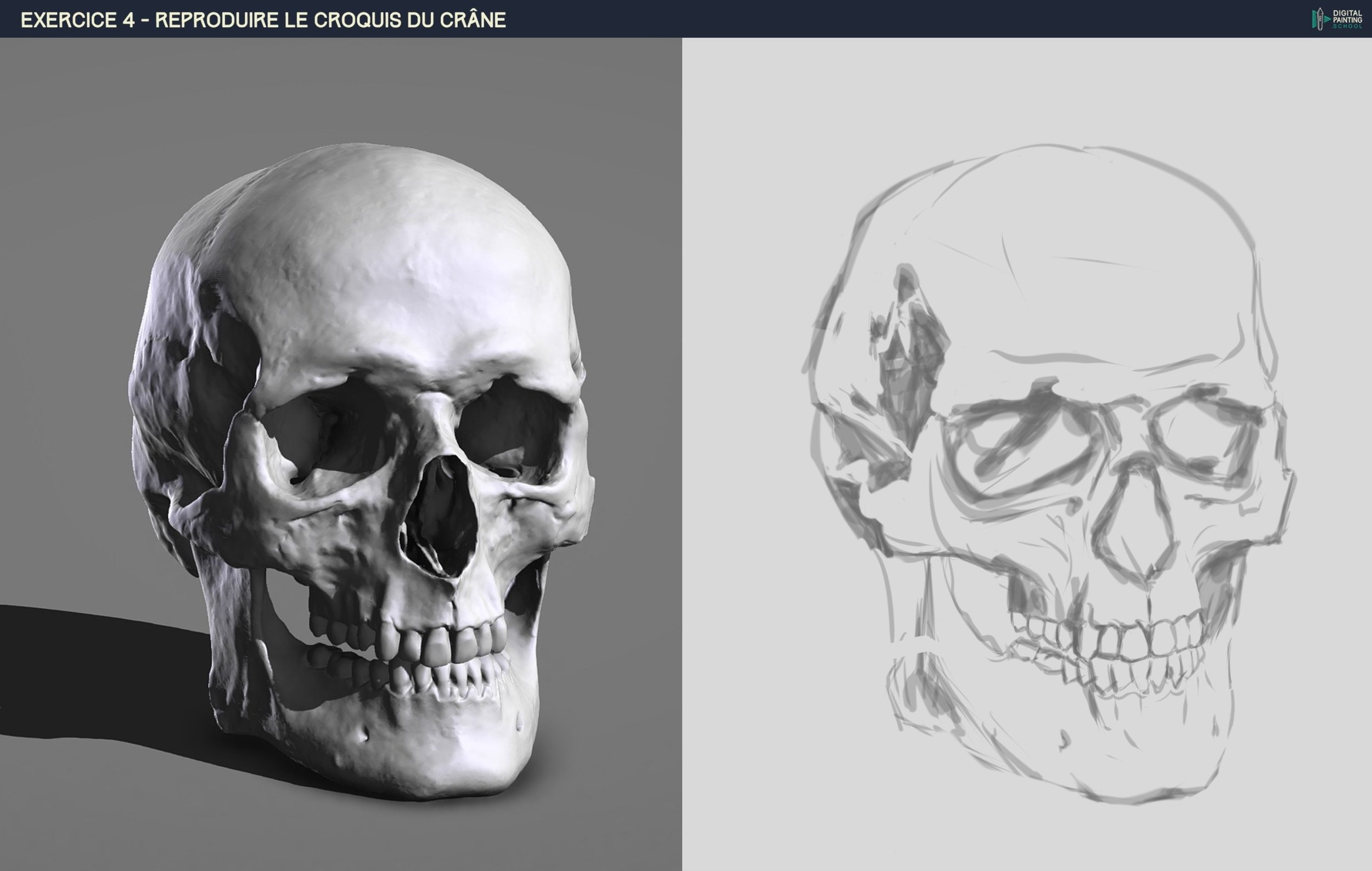 DPS-Prog-1-2-2-démo-crane-croquis 3.jpg