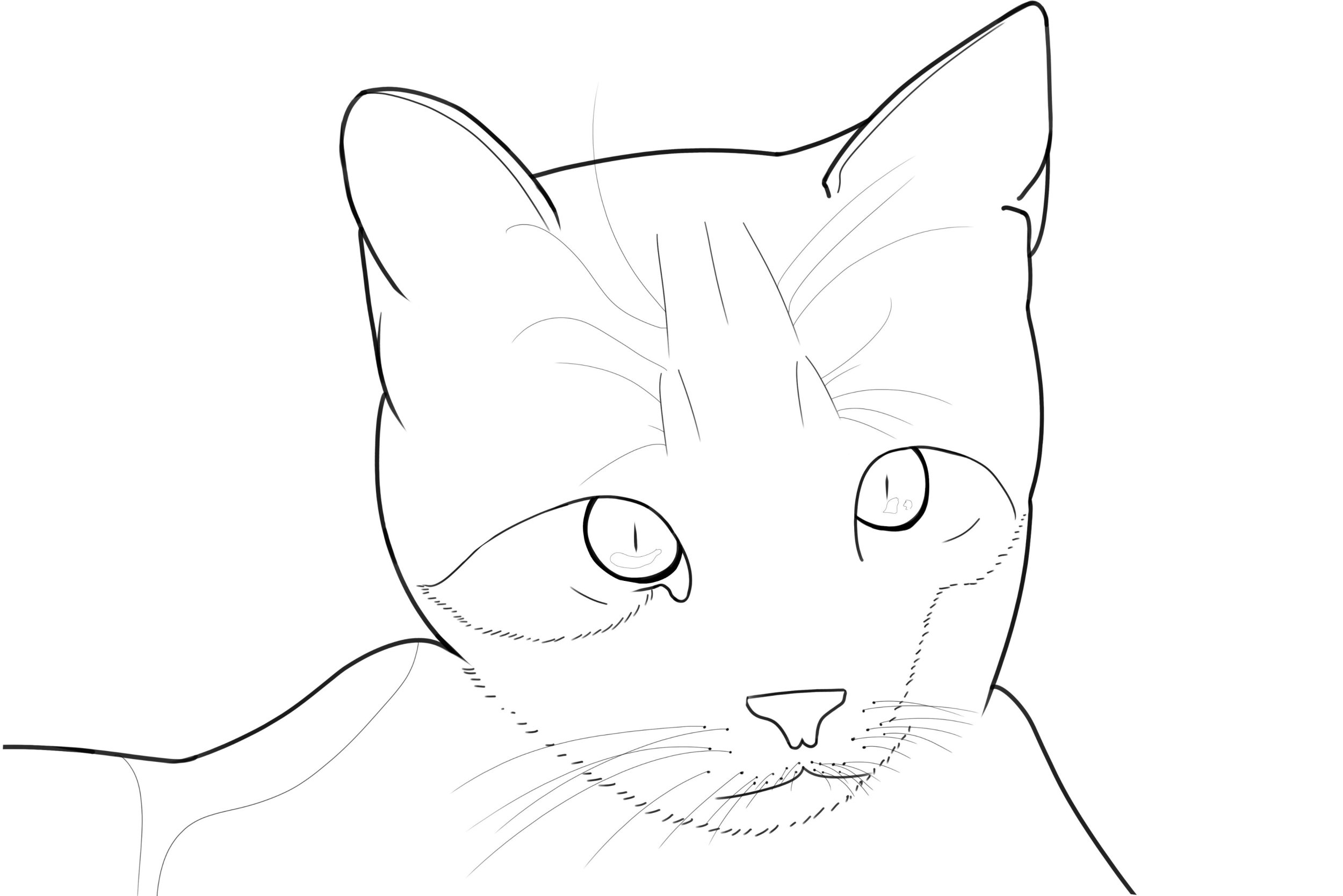 Exercice 5 chat fini (3h).jpg