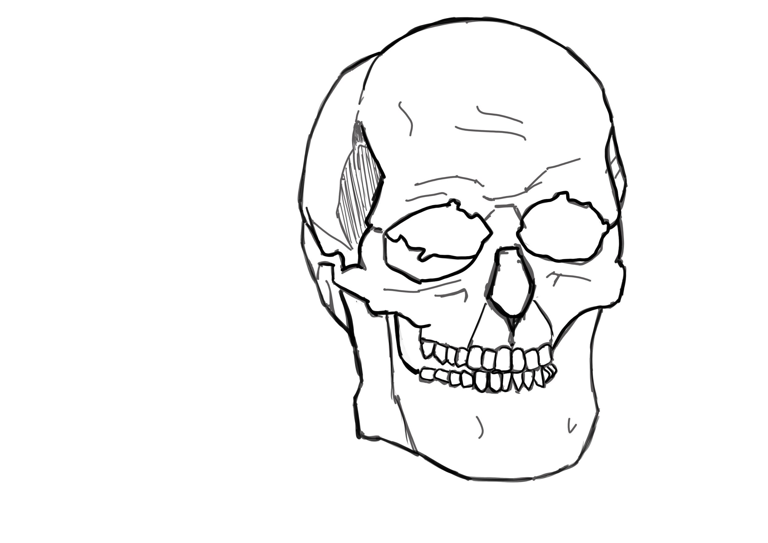 NOUVEAU10mais sanshachures.jpg