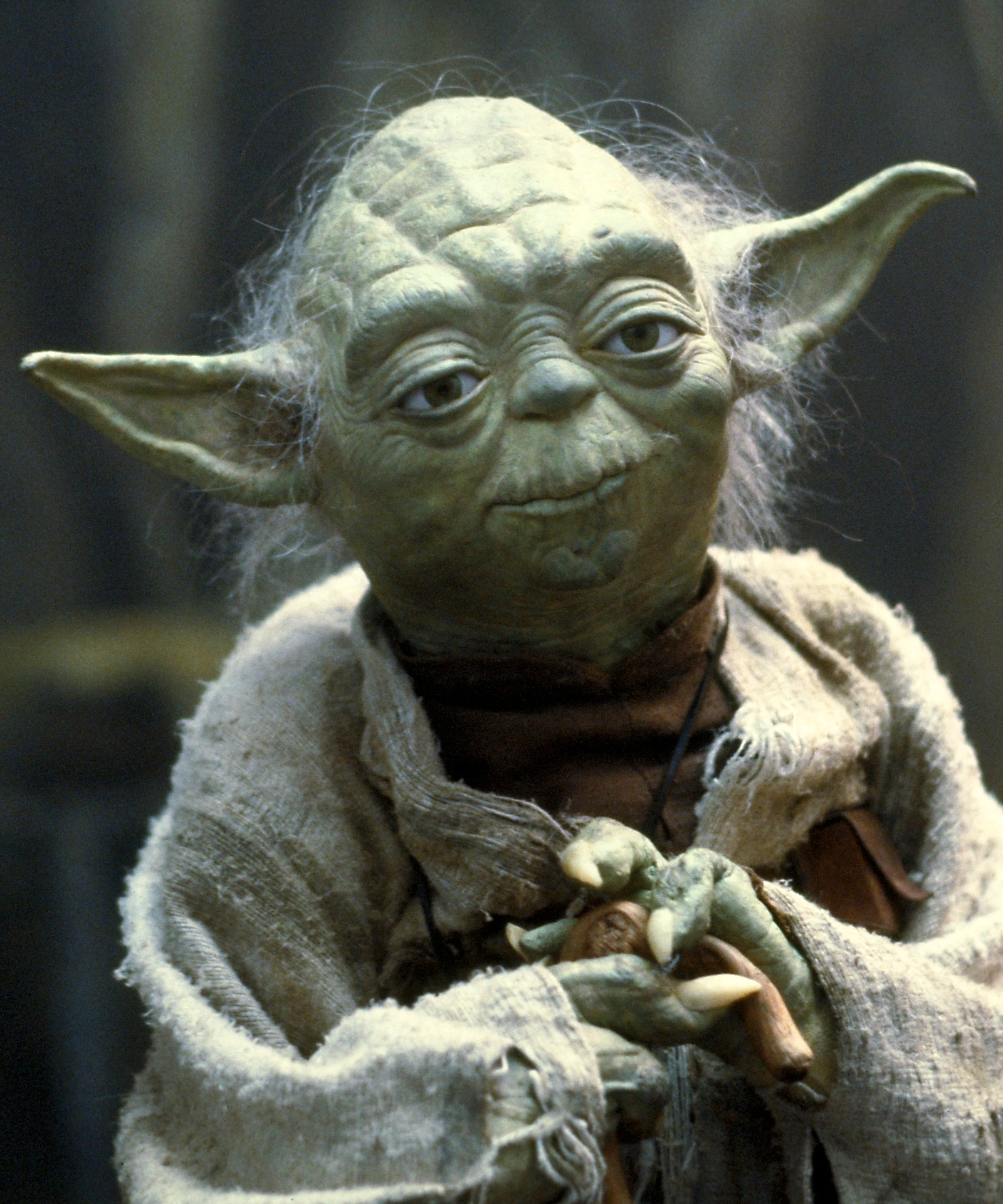 Yoda.webp.bb7ff17edbf56f43922a830892f5176e.webp
