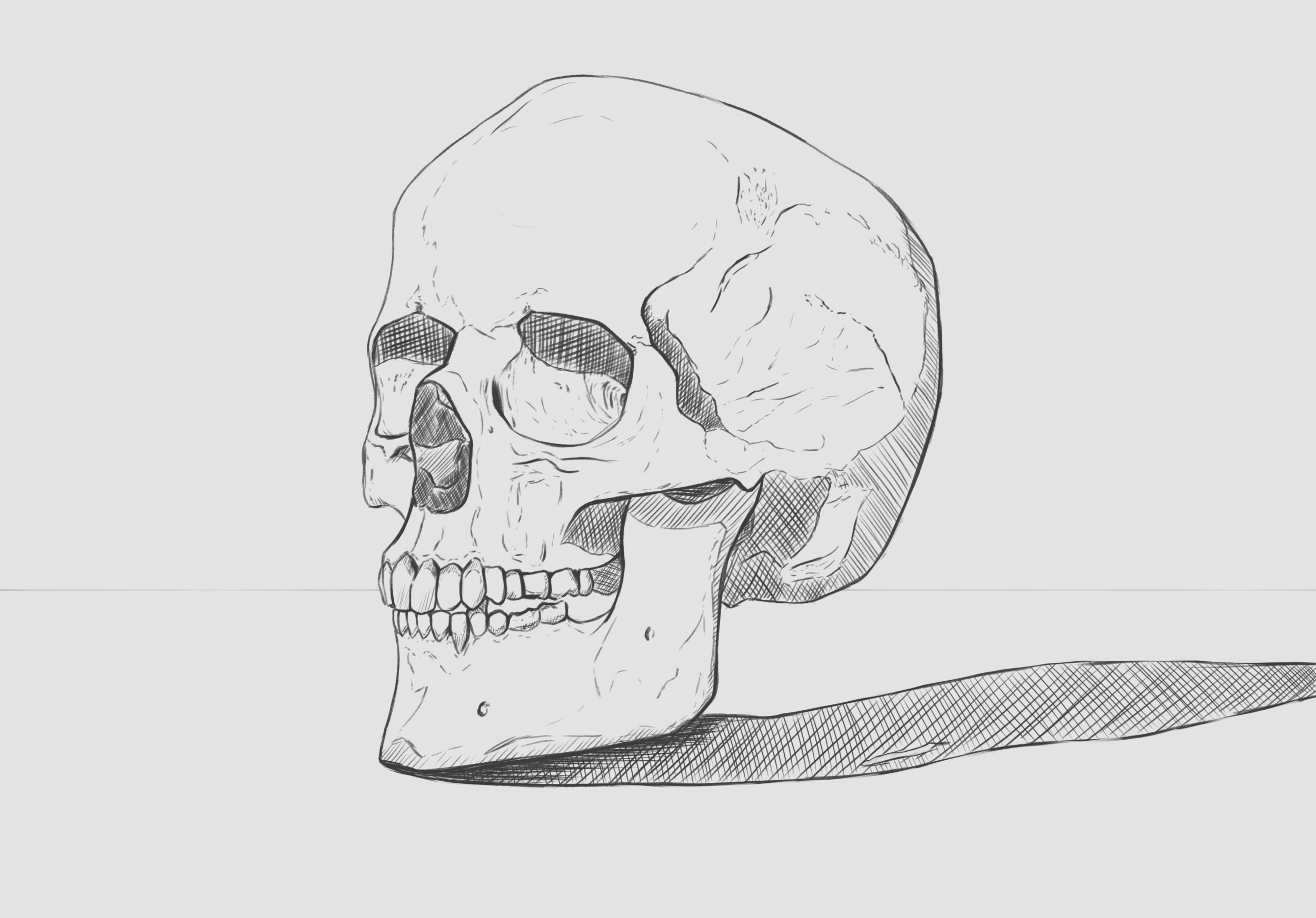 crane croquis 2023.jpg