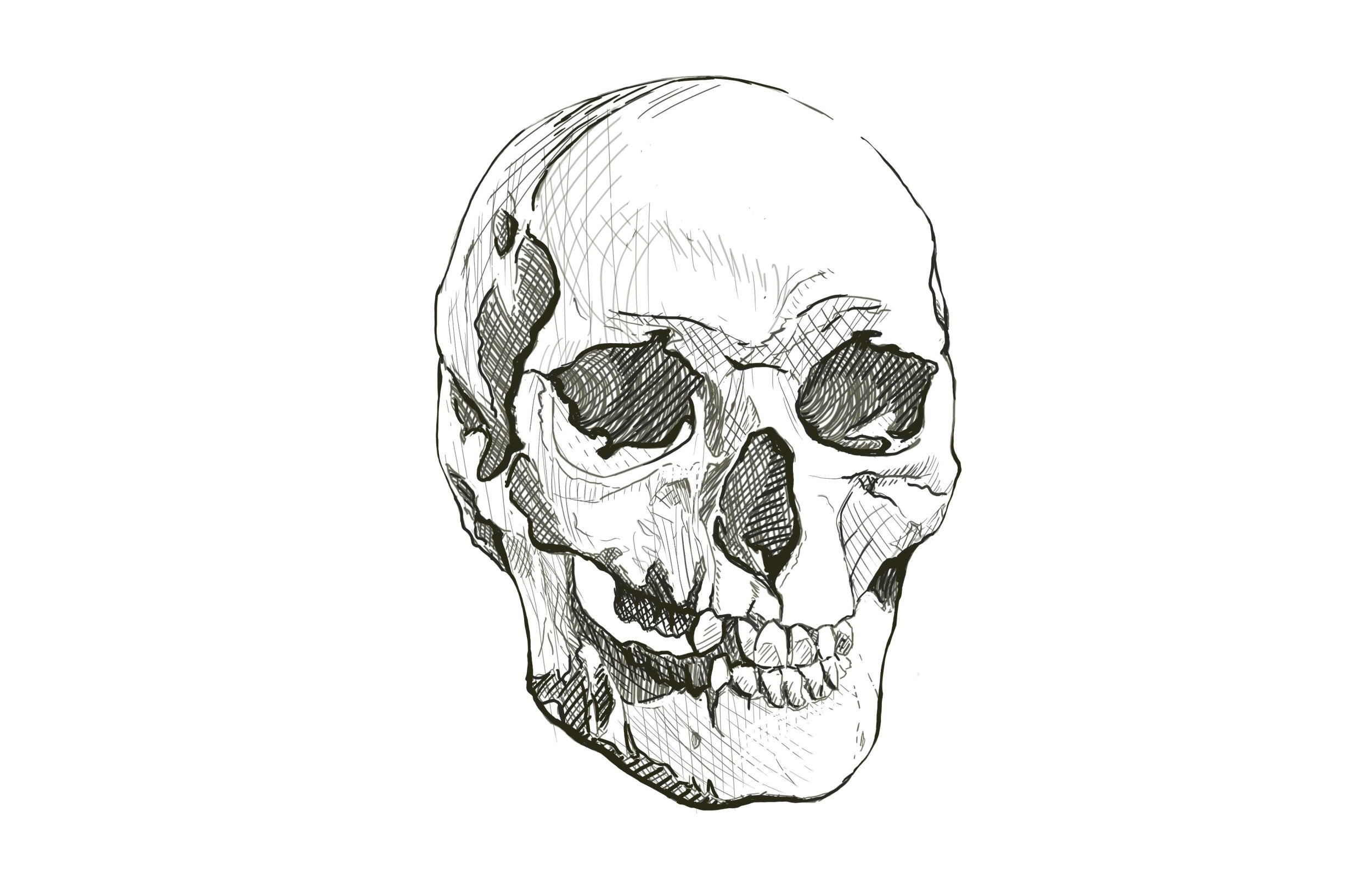 crane exo 4 copie.jpg