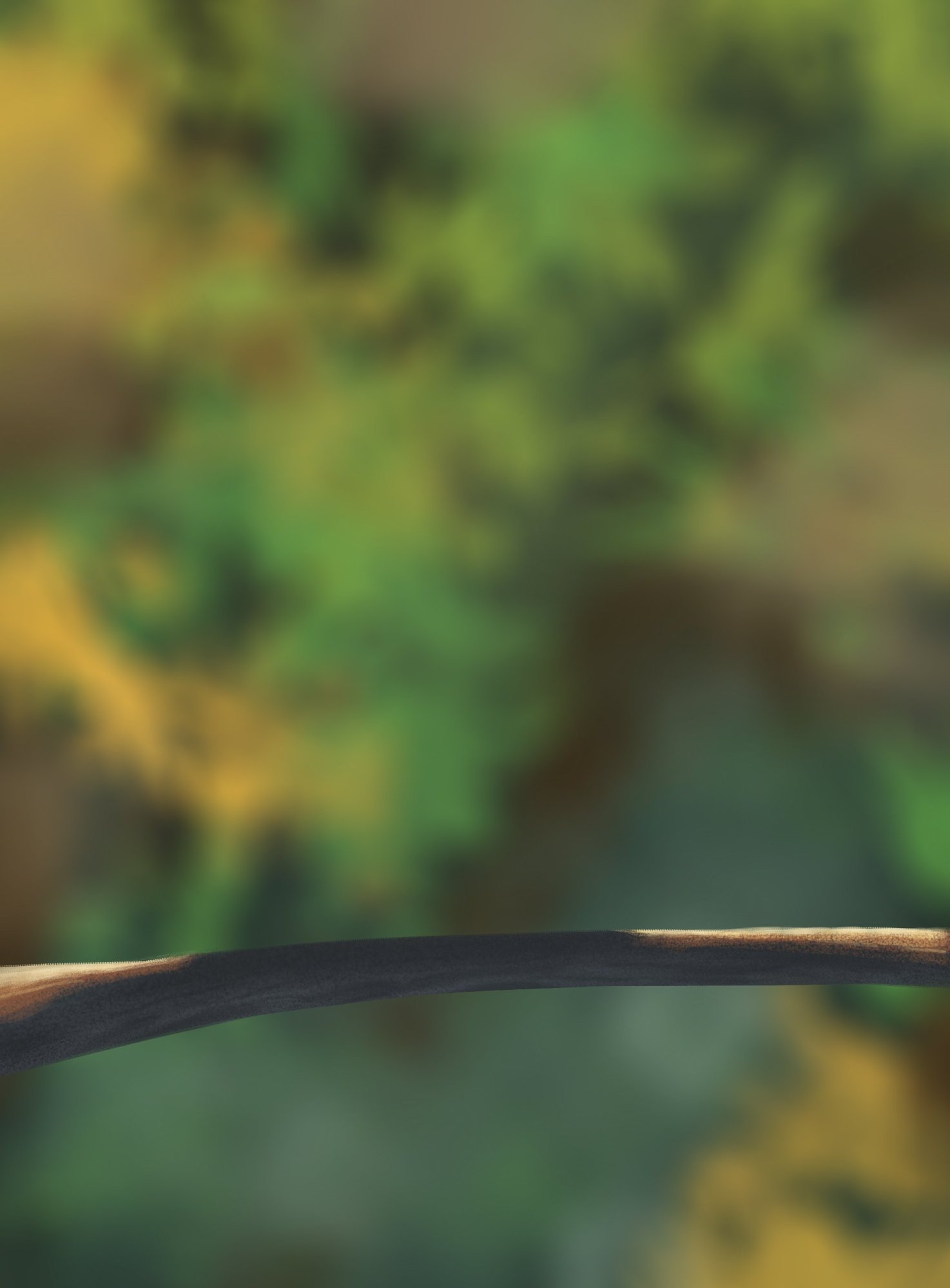 fond exercice oisillons.jpg