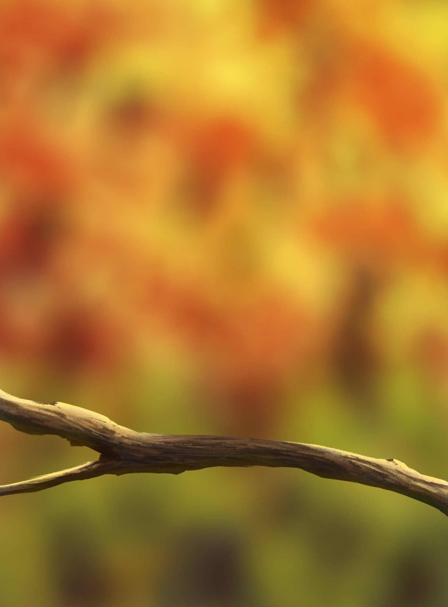 oiseaux branche 2023.jpg