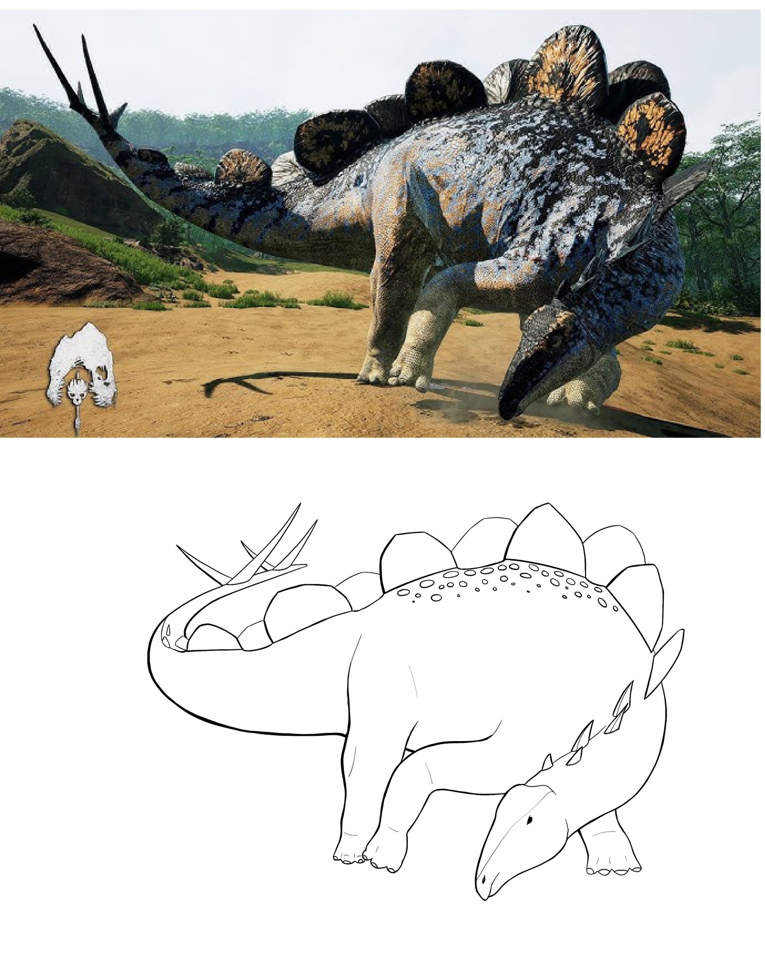 5.Stegosaure,-croquis-DPS.jpg
