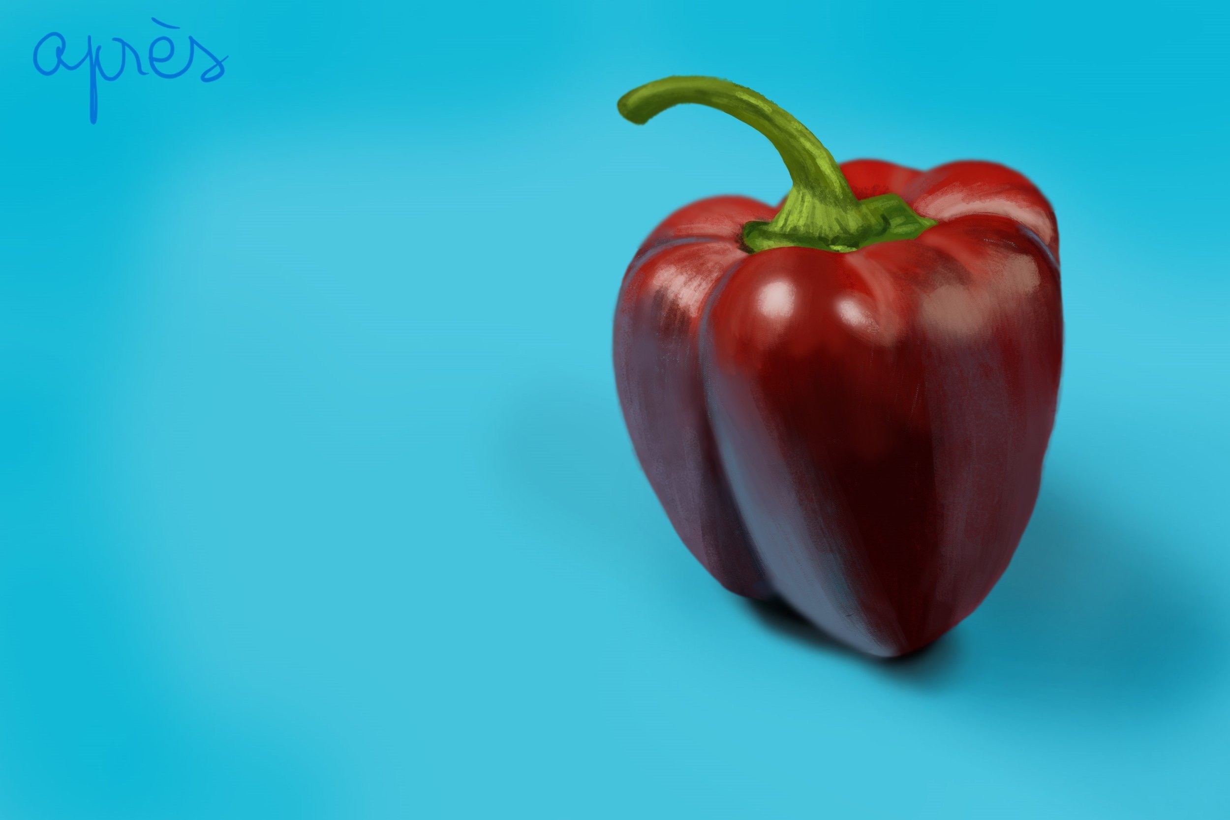 Biorangette_Exercice4-etude-photo1 copie.jpg