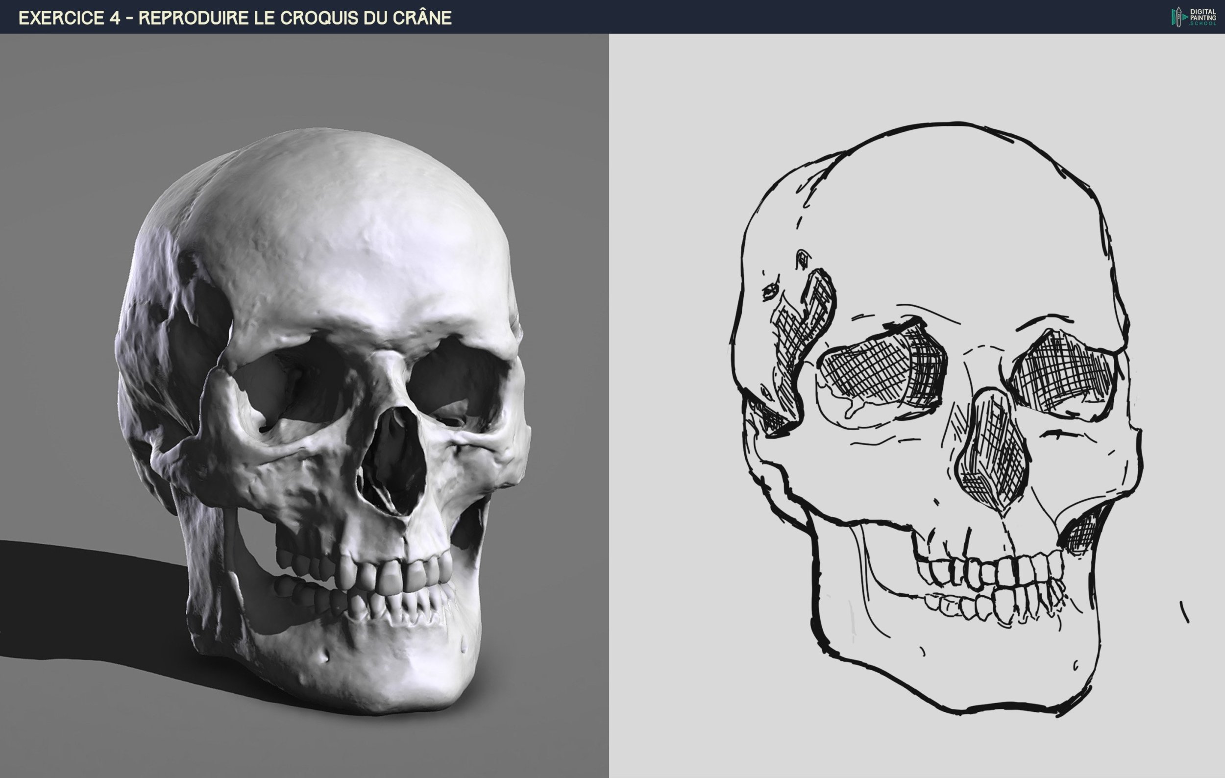 CROQUIS CRANE ZELIE.jpg