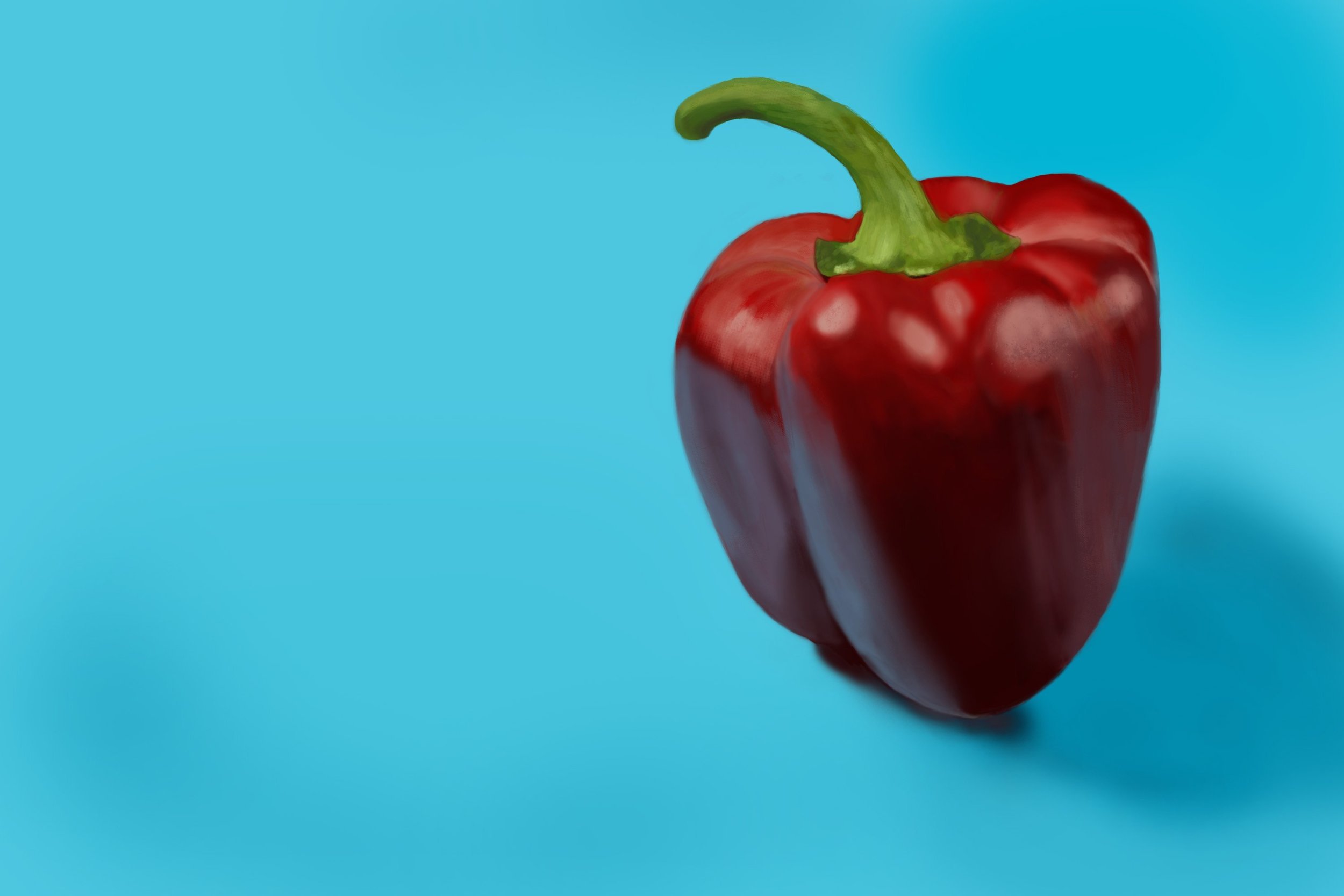 Chapitre 1 - Exercice 4.jpg