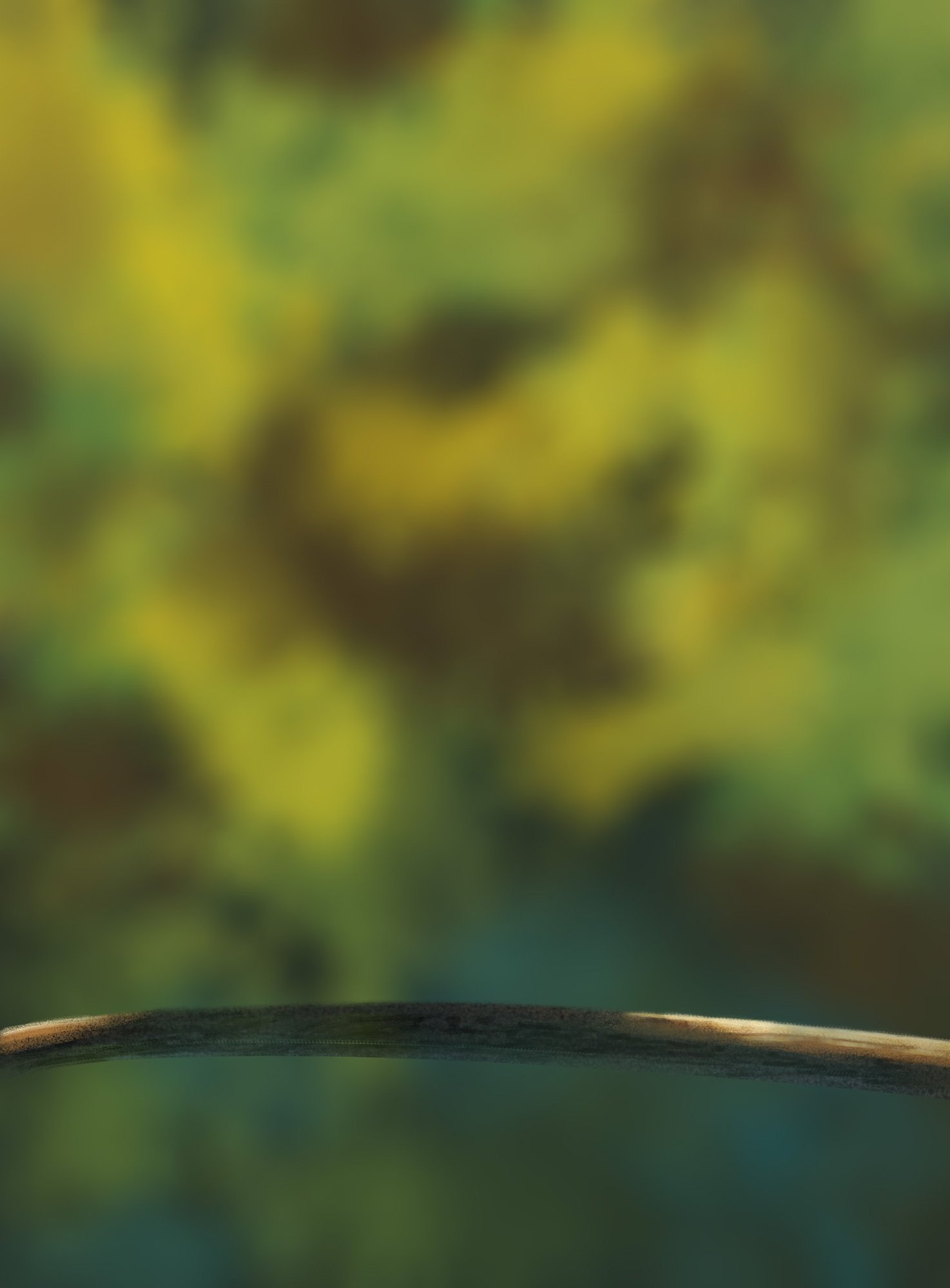 Chapitre 1 - Exercice 5.jpg