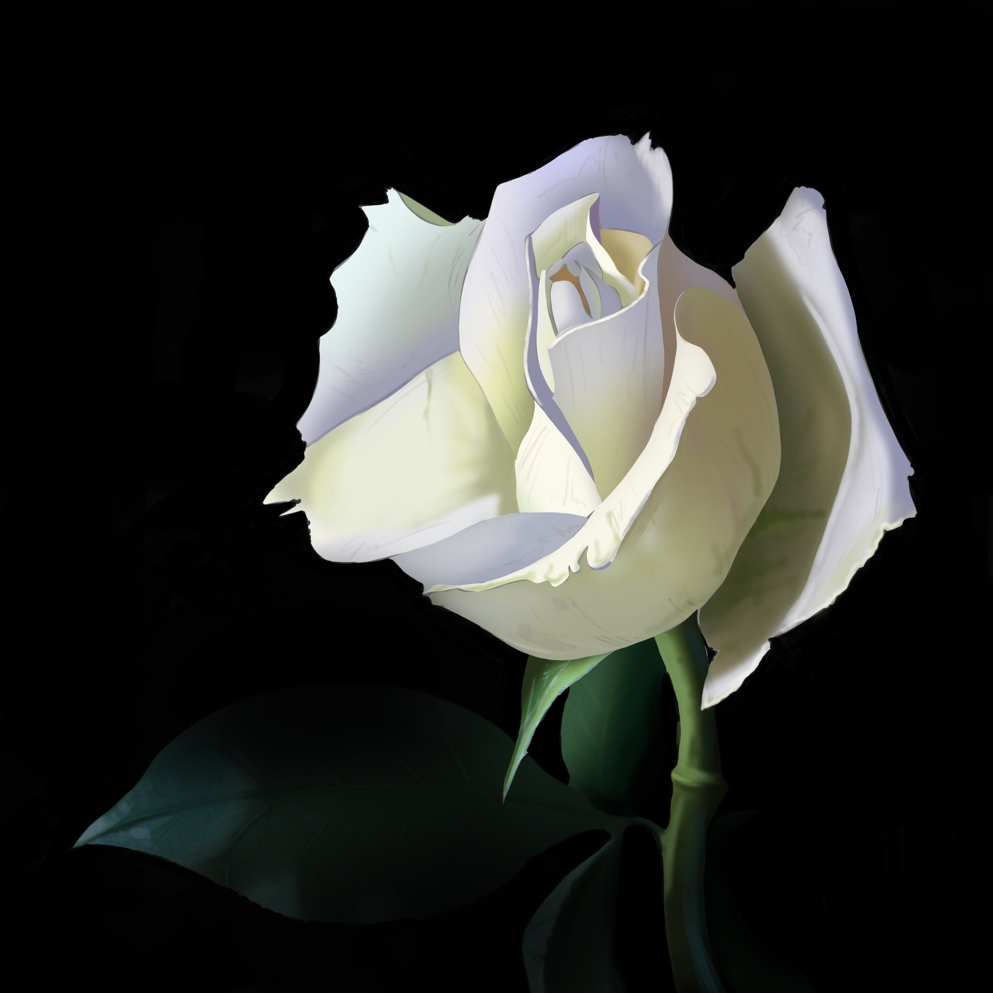 DPS-Prog-1-1-3_fleur FNS.jpg