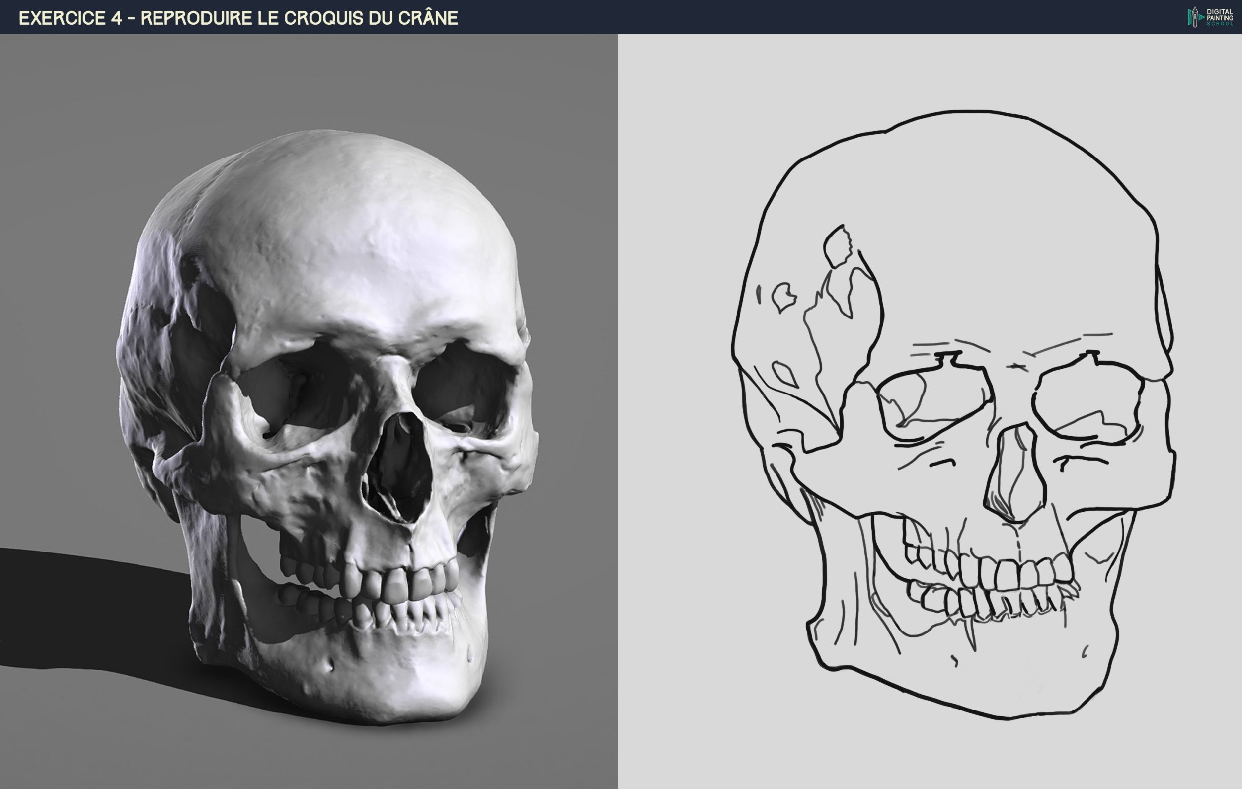 DPS-Prog-1-2-2-démo-crane-croquis - Essai copie.jpg