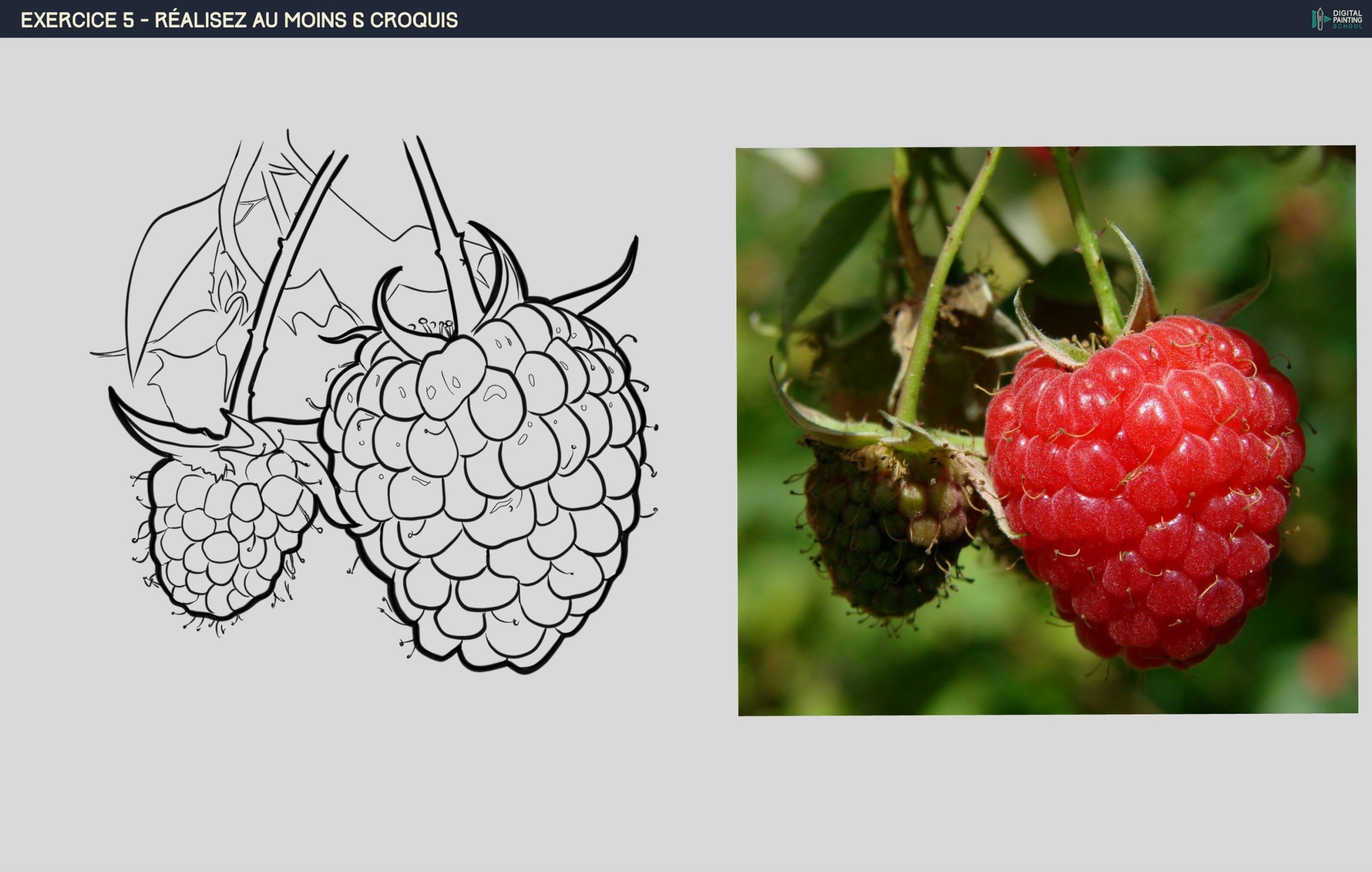 DPS-Prog-1-2-exercice5 2.jpg