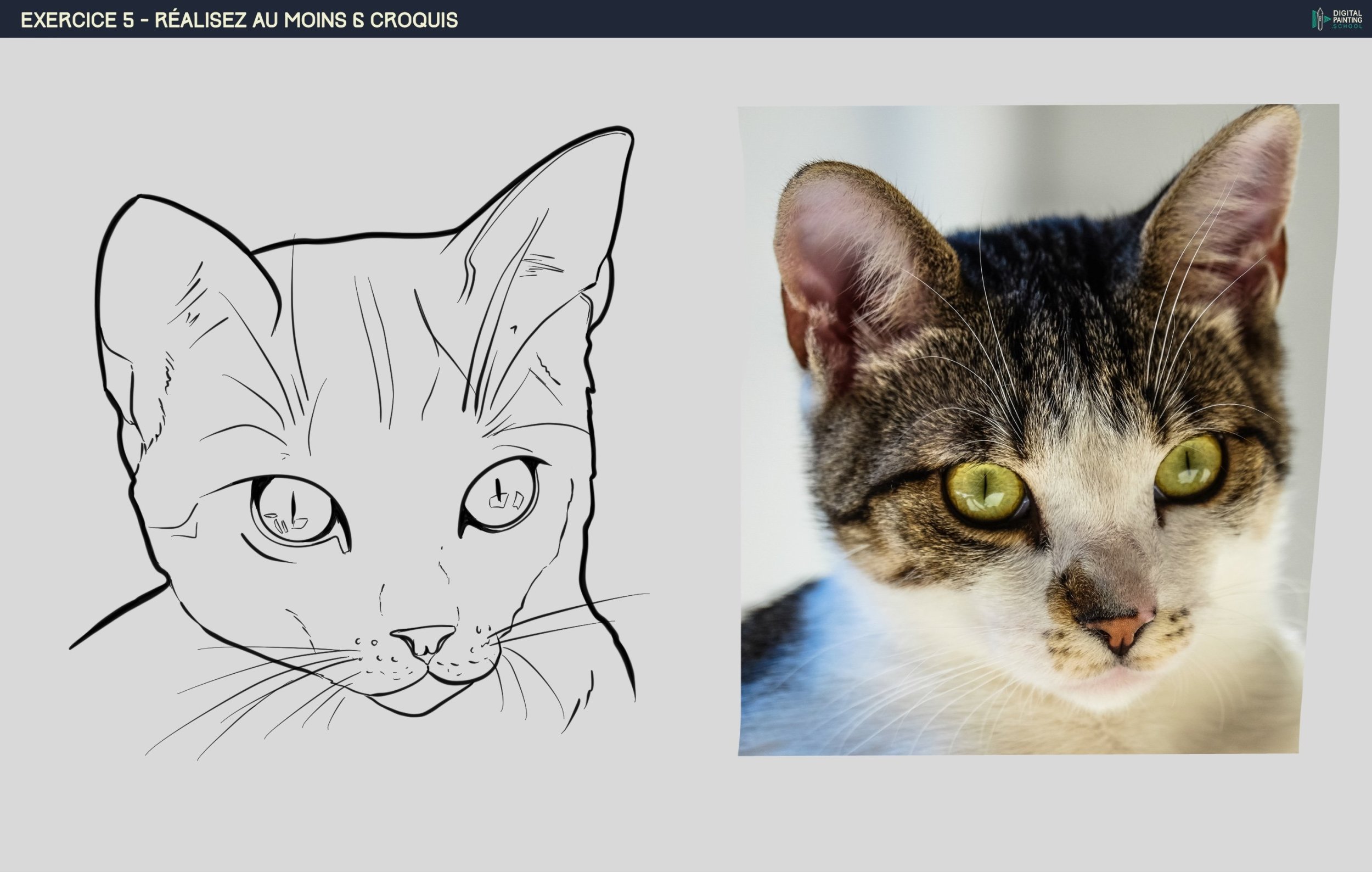 DPS-Prog-1-2-exercice5 3.jpg