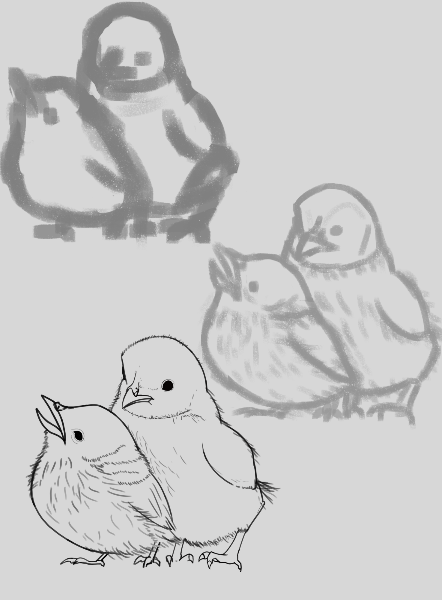 DPS Prog-1-1-Exercice5-Oiseau-Commencement(2)_deroulement.png