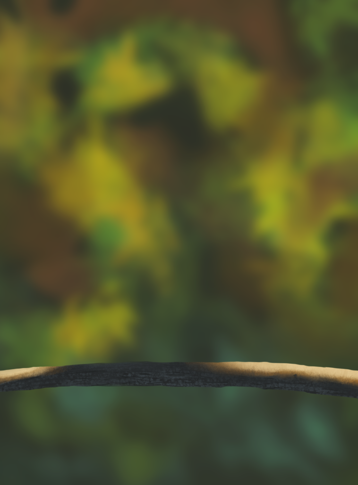 DPS Prog-1-1-Exercice5-Oiseau-Commencement_FINI.png