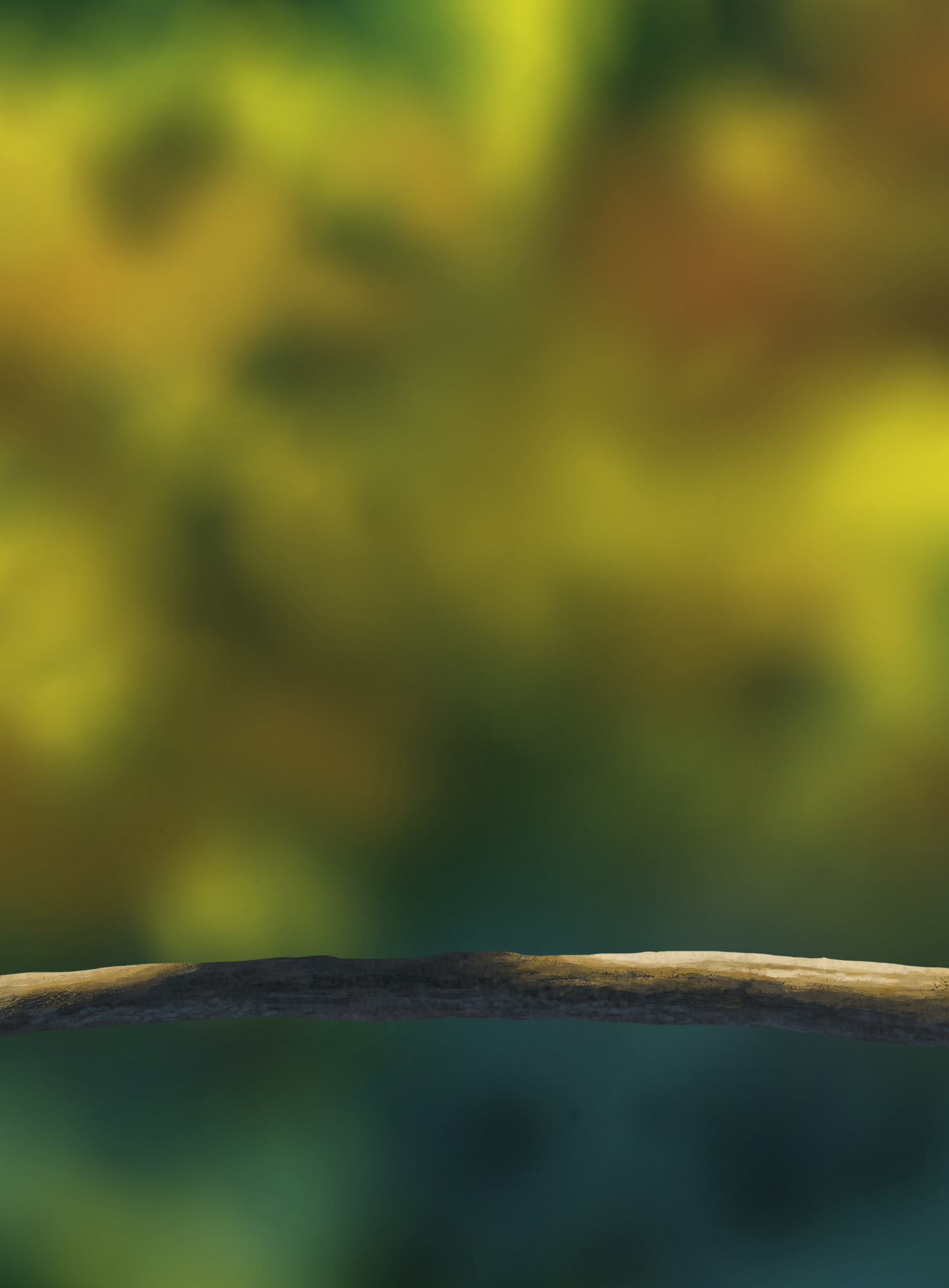 DPS Prog-1-1-Exercice5-Oiseau-greg.png