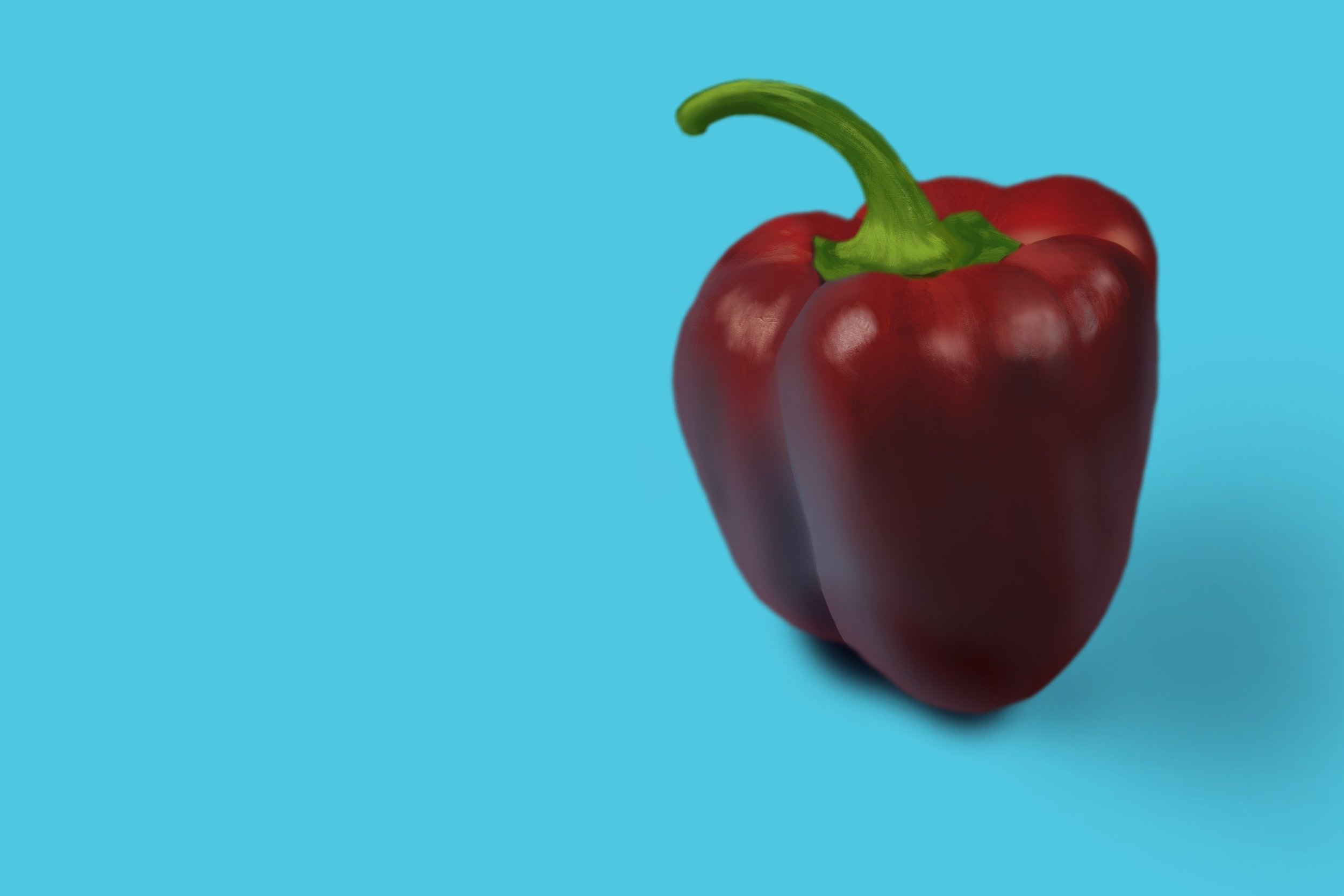 Exercice4-etude-photo1 ESSAI 4-Récupéré copie.jpg