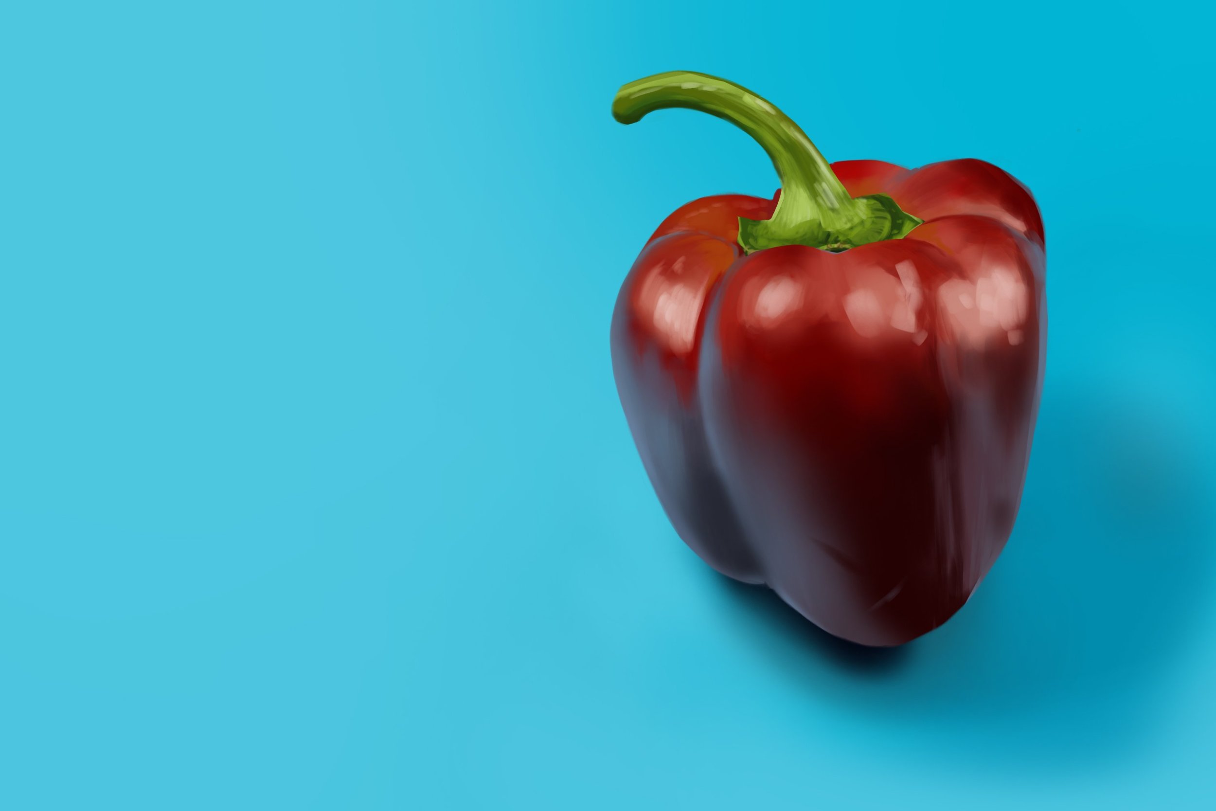 Exercice poivron fini.jpg