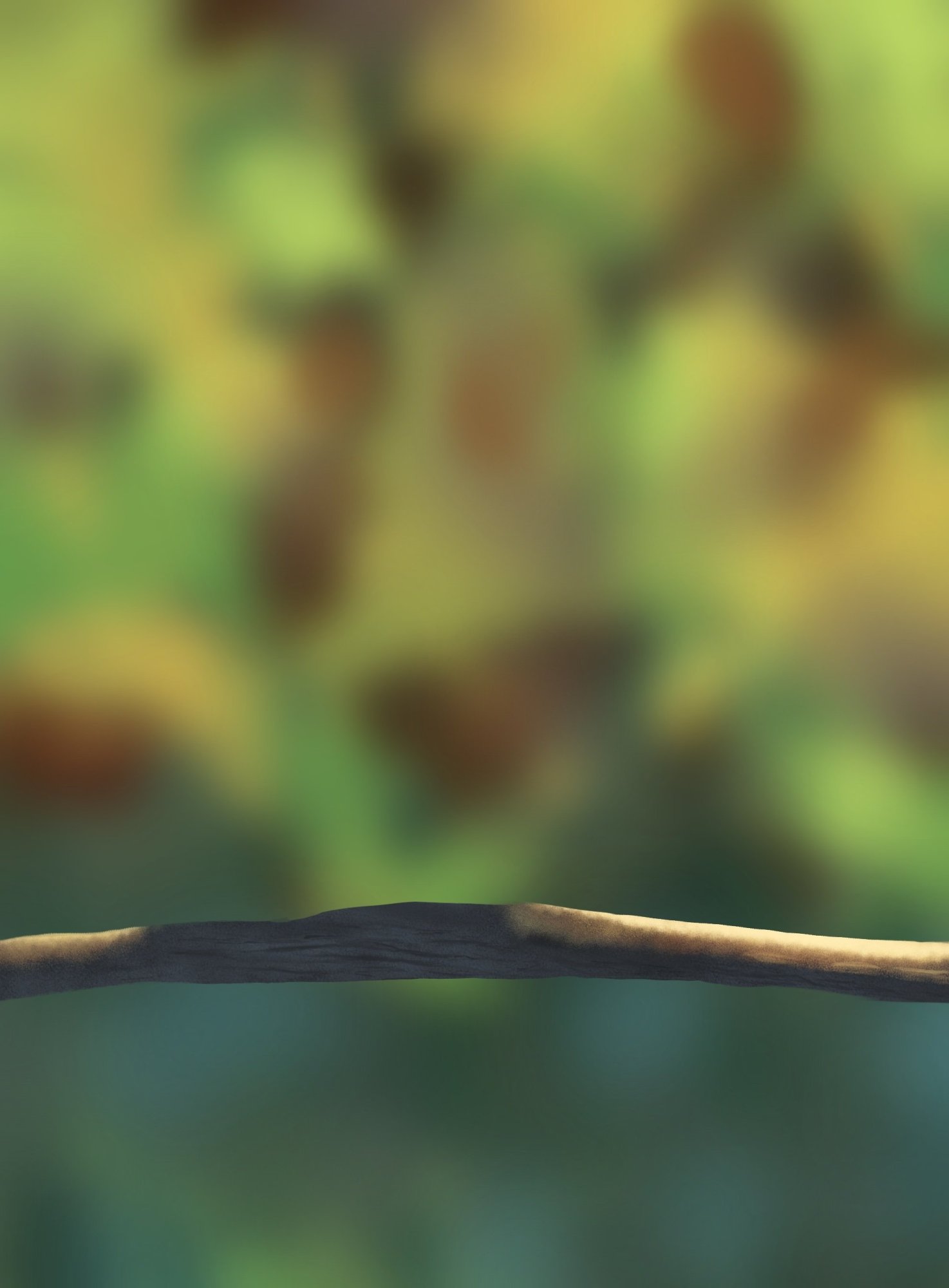 Exo 5_ Illustration oisillons .jpg