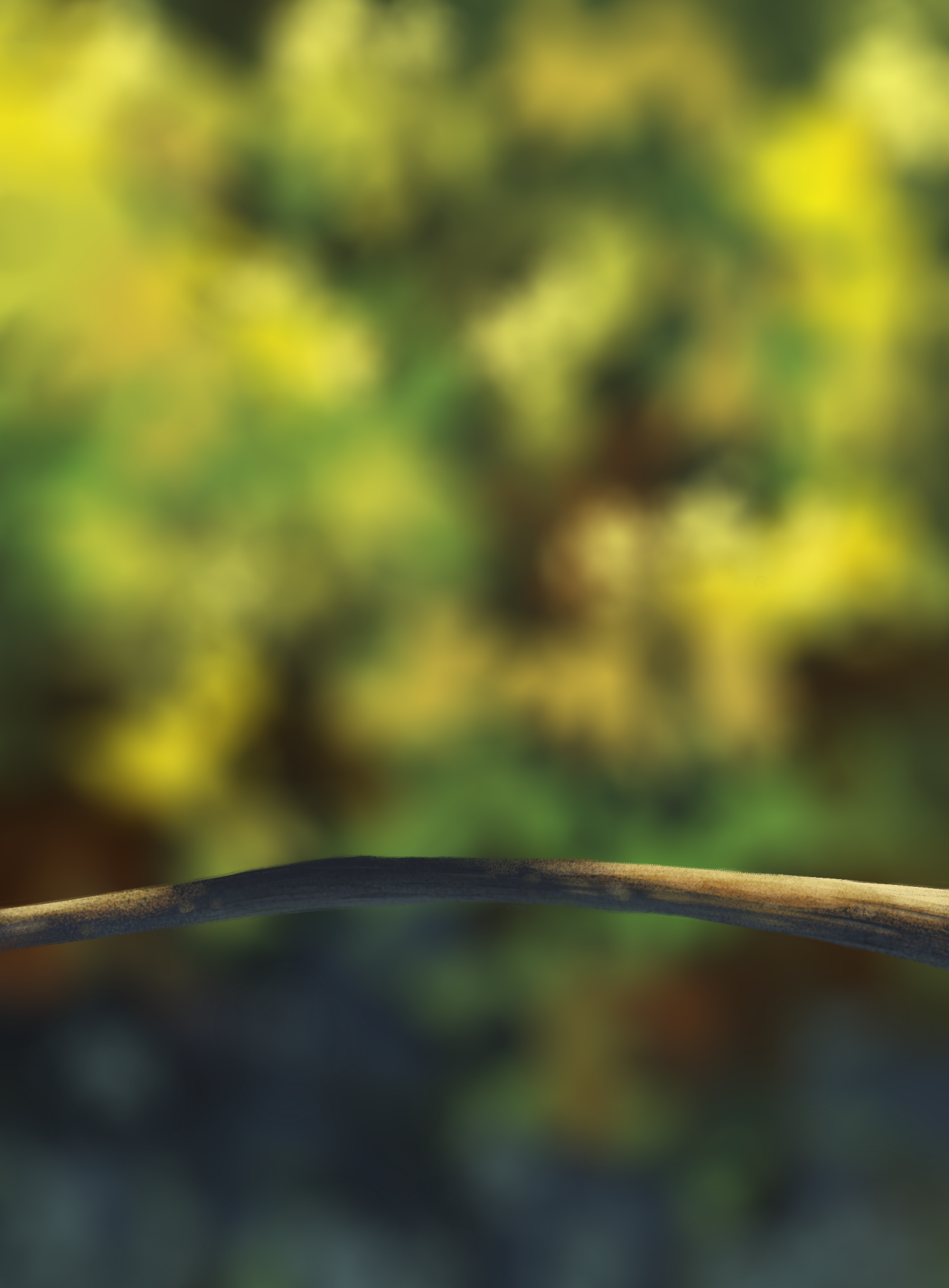 Illustration Oisillons Image.png