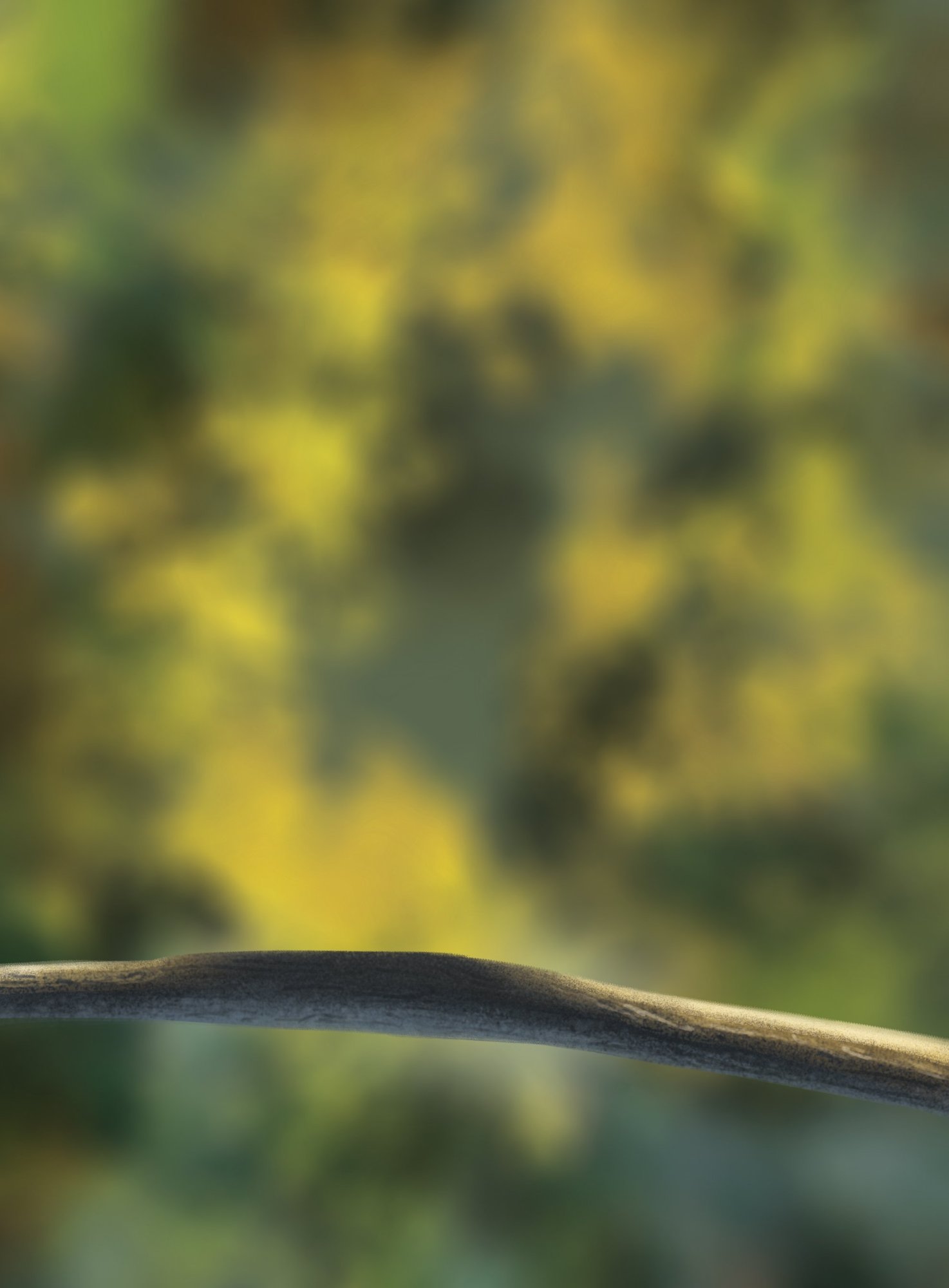 Oisillons DPS FNS_Etape 1.jpg