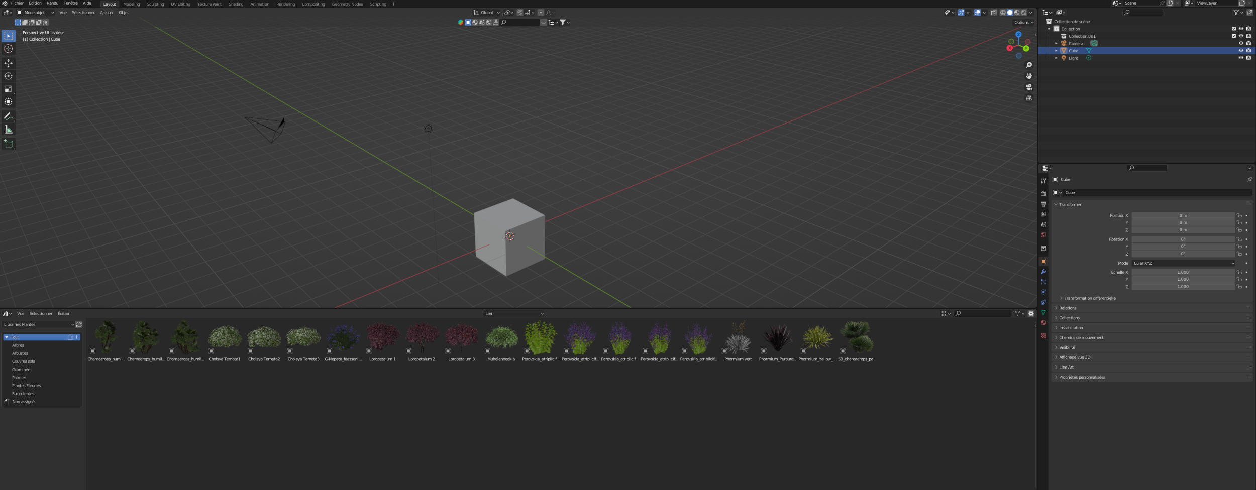 photo nouveau fichier blender.png