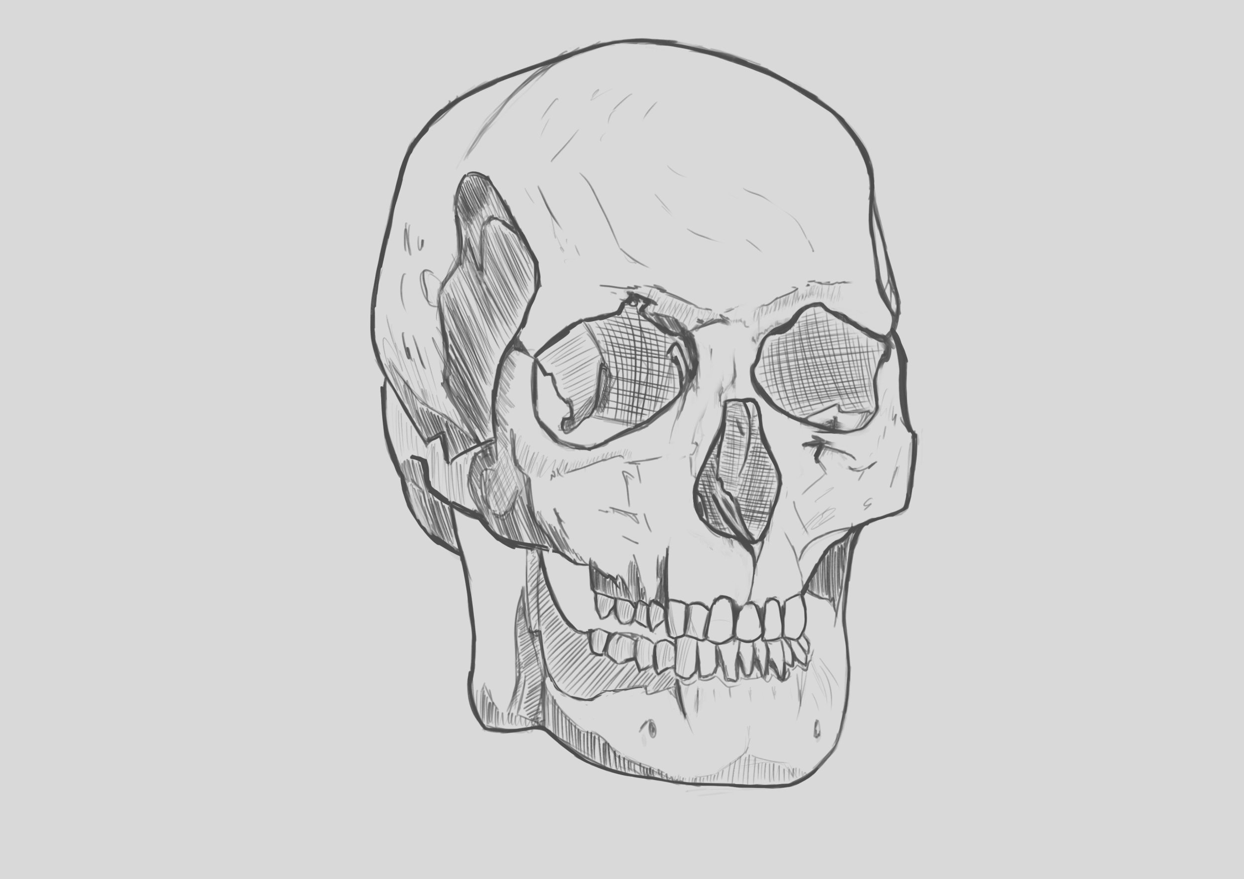 Exercice 4 - Crâne.jpg