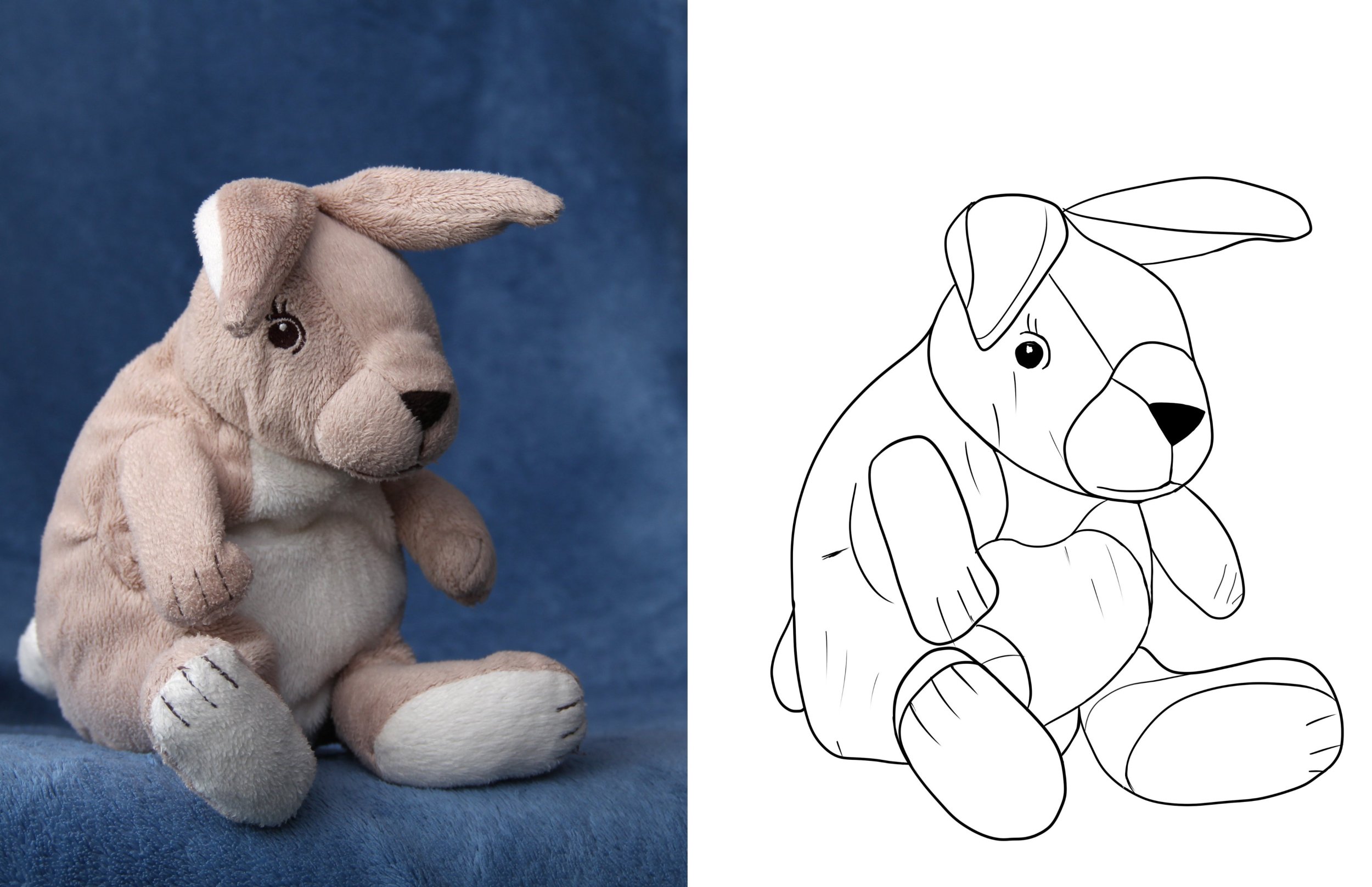 Exercice 5 - Bunny.jpg