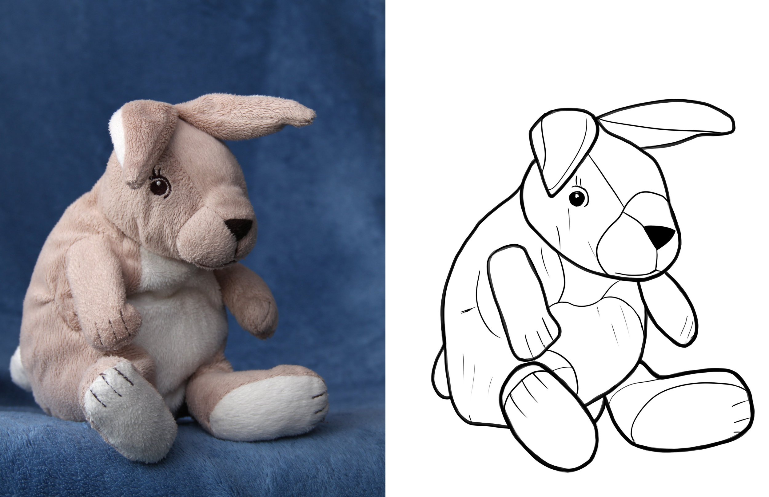 Exercice 5 - Bunny.jpg