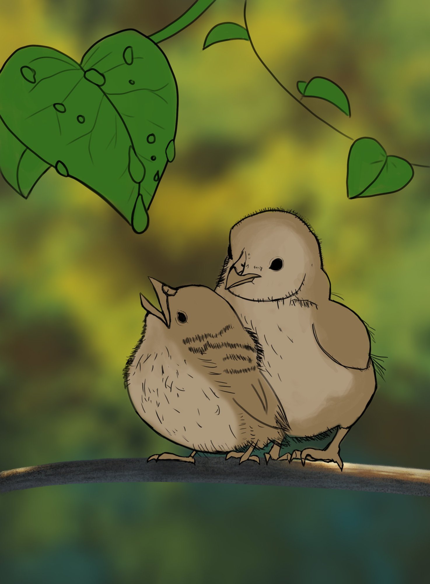 Exercice 6 - Oisillons.jpg