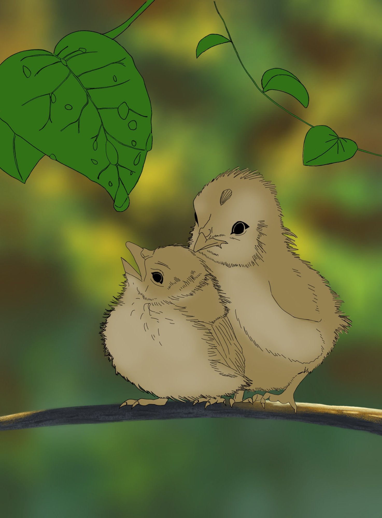 Oisillons croquis 2 copie.jpg