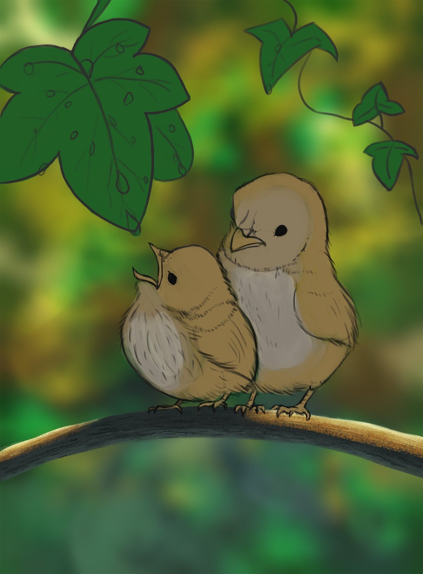 exercice 5 oisillons  croquis 1.jpg