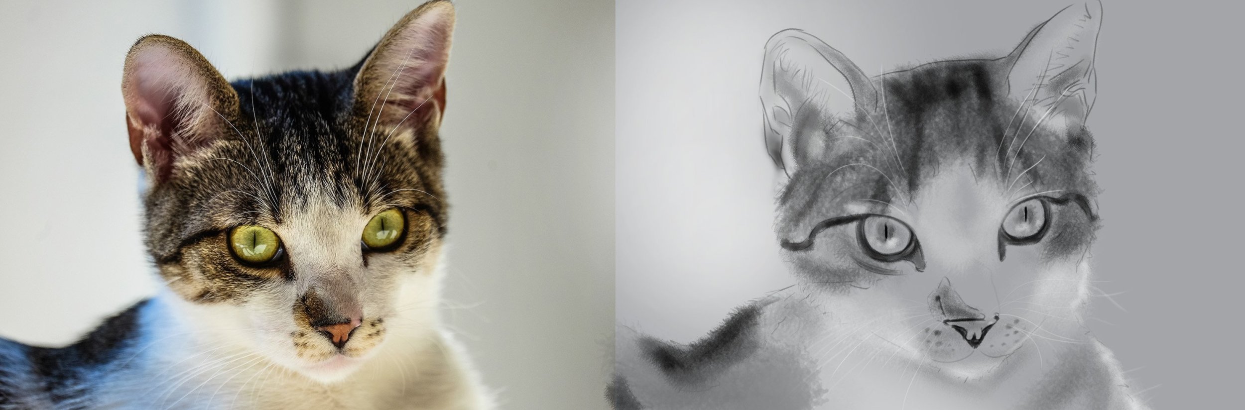 pexels-photo-96425 2.jpg