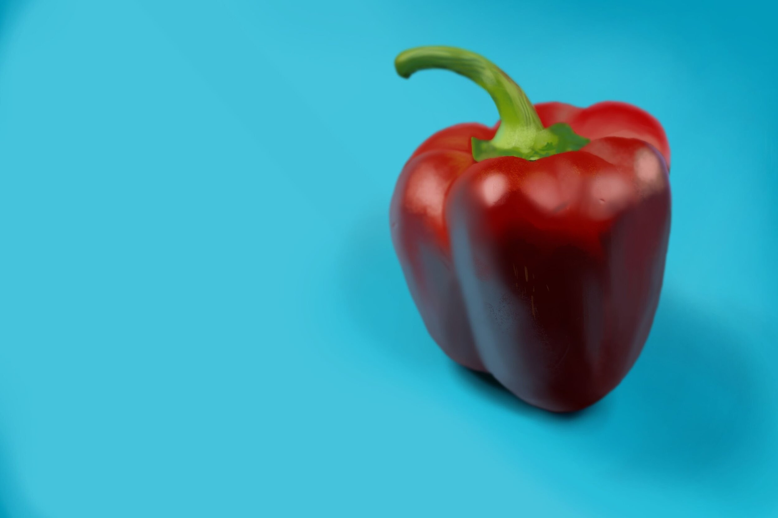 .Exercice4-etude-photo1 dessin.jpg