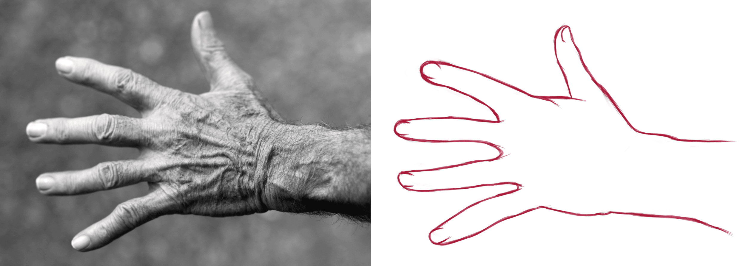 1hand-elderly-woman-wrinkles-black-and-white-54321.thumb.png.1e9e28f1316d28cbc2efa373999c58b7.png