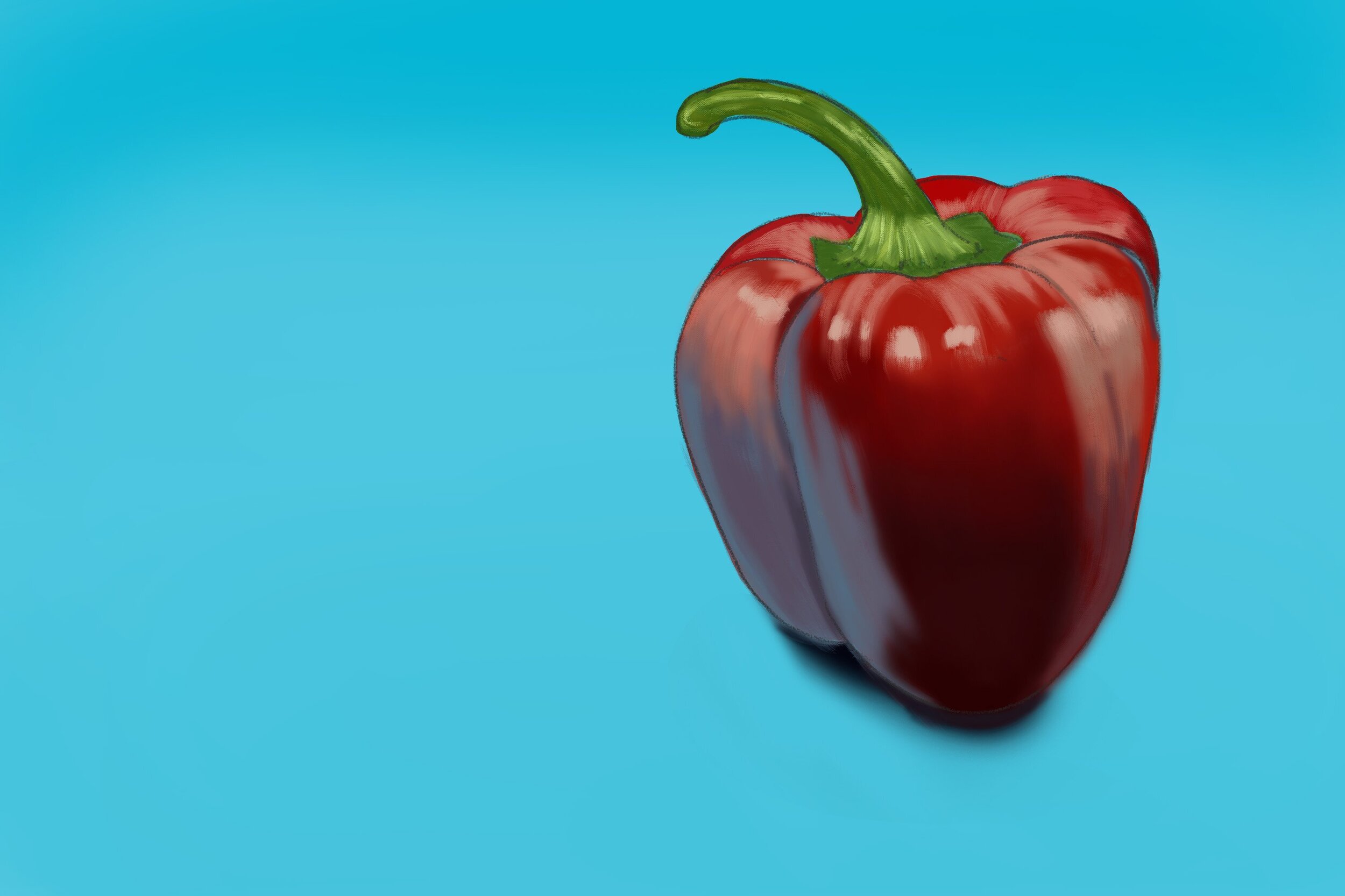 Exercice4-etude-photo1 copie.jpg