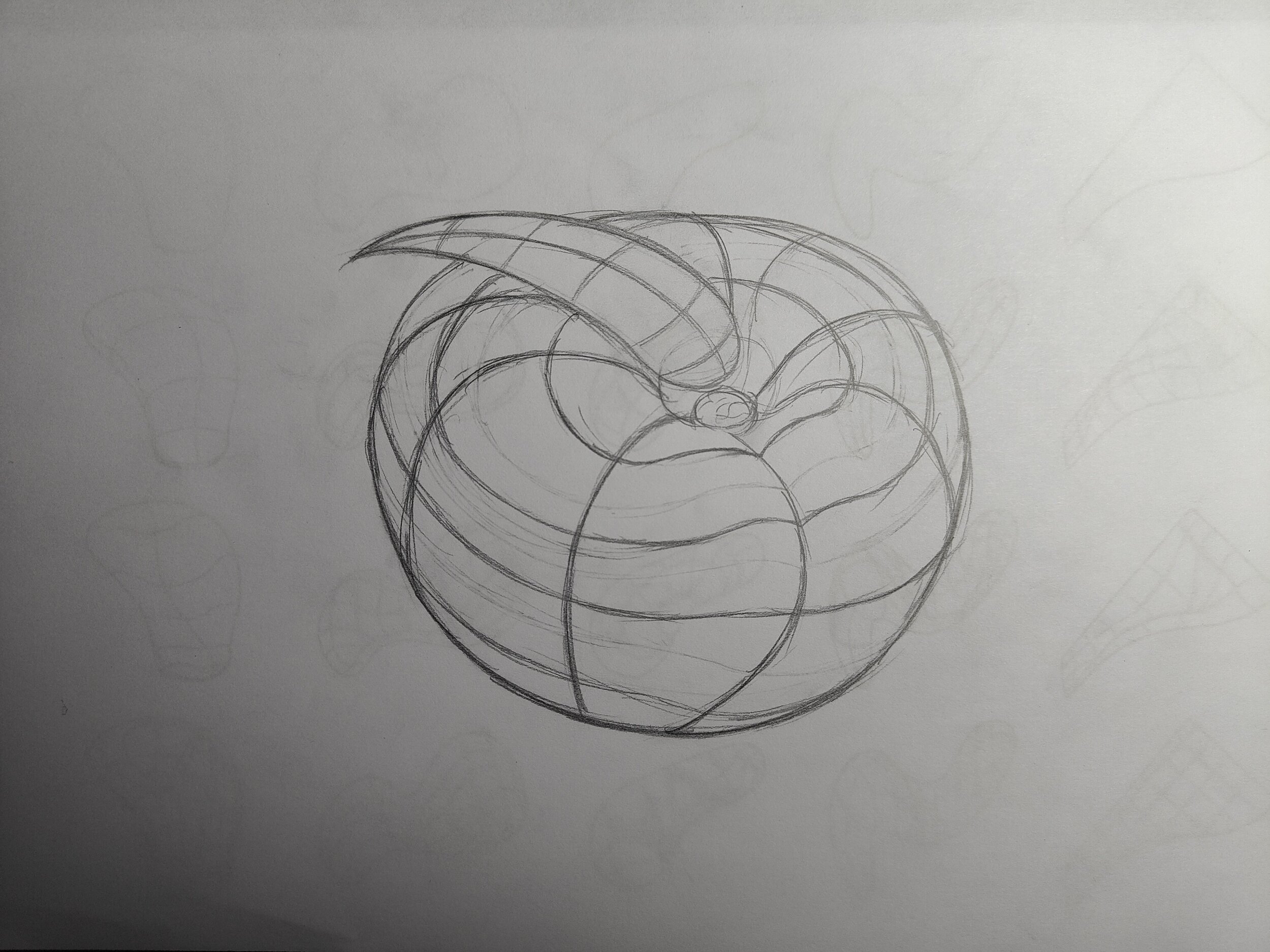 IMG20231218214929 - Copie.jpg