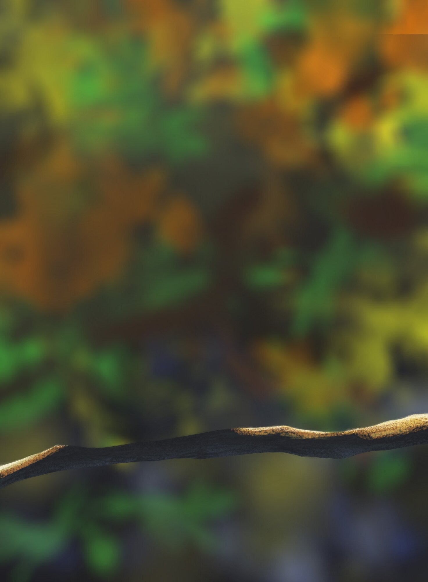 MES OISILLONS corigé.jpg