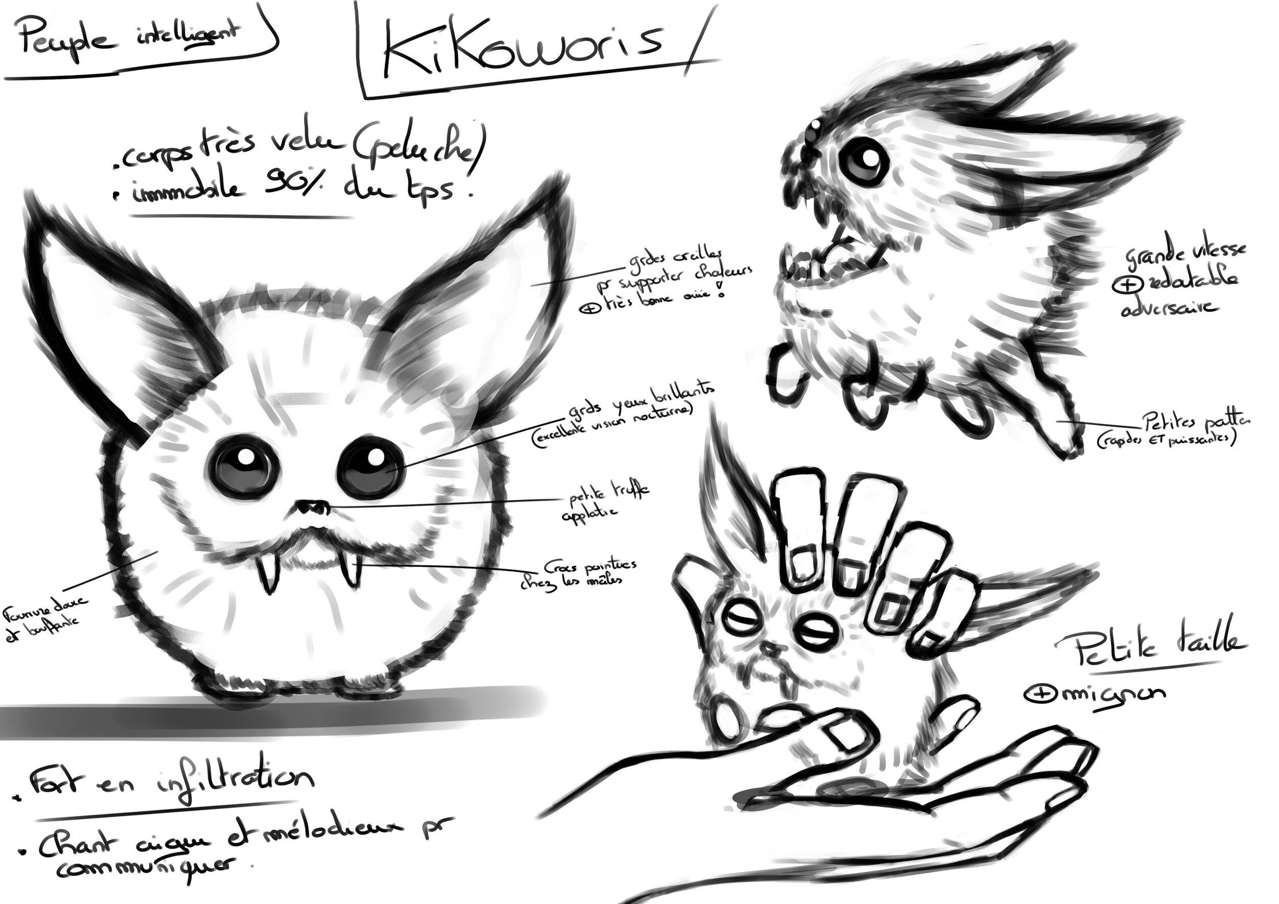 Planche de recherches.jpg