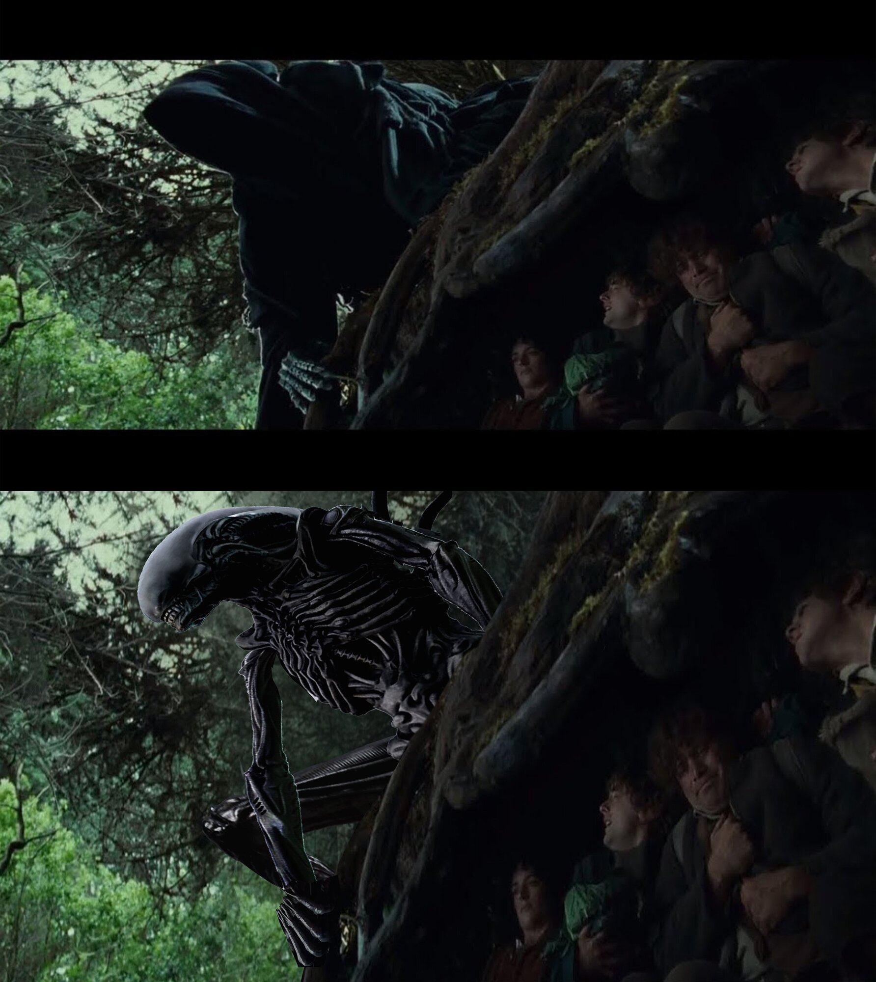 alien vs l'anneau aperçu.jpg