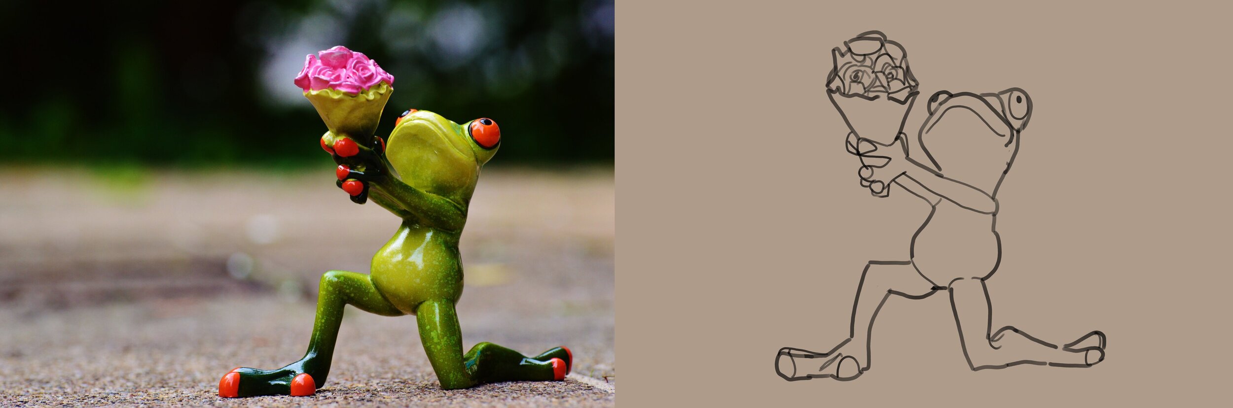 exercice 5, frog.jpg